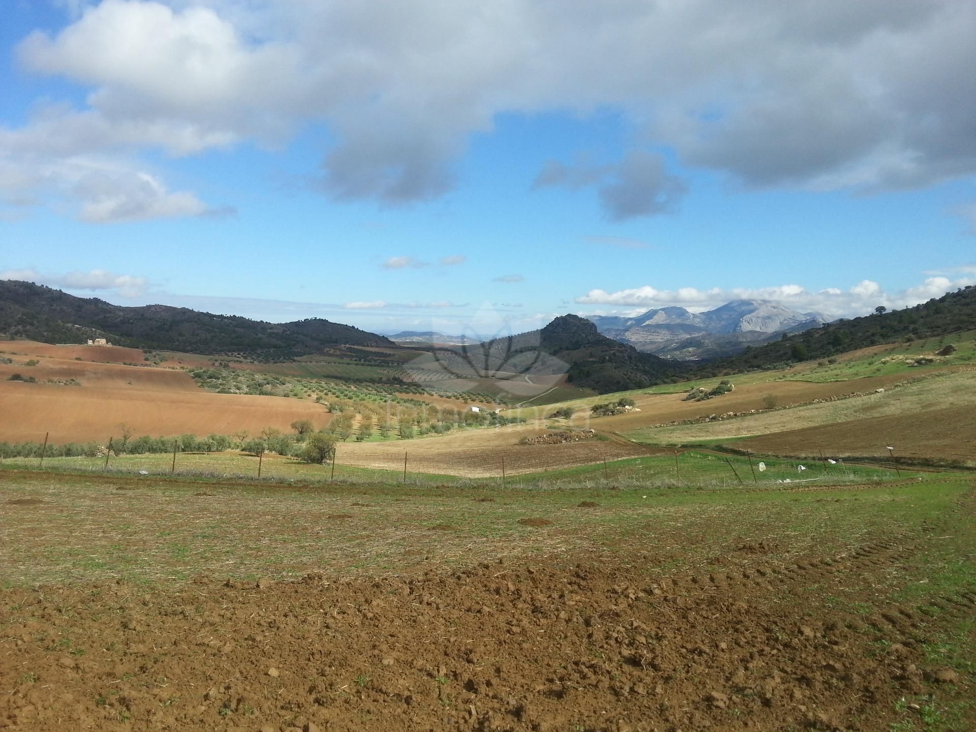 Parcela en Ardales
