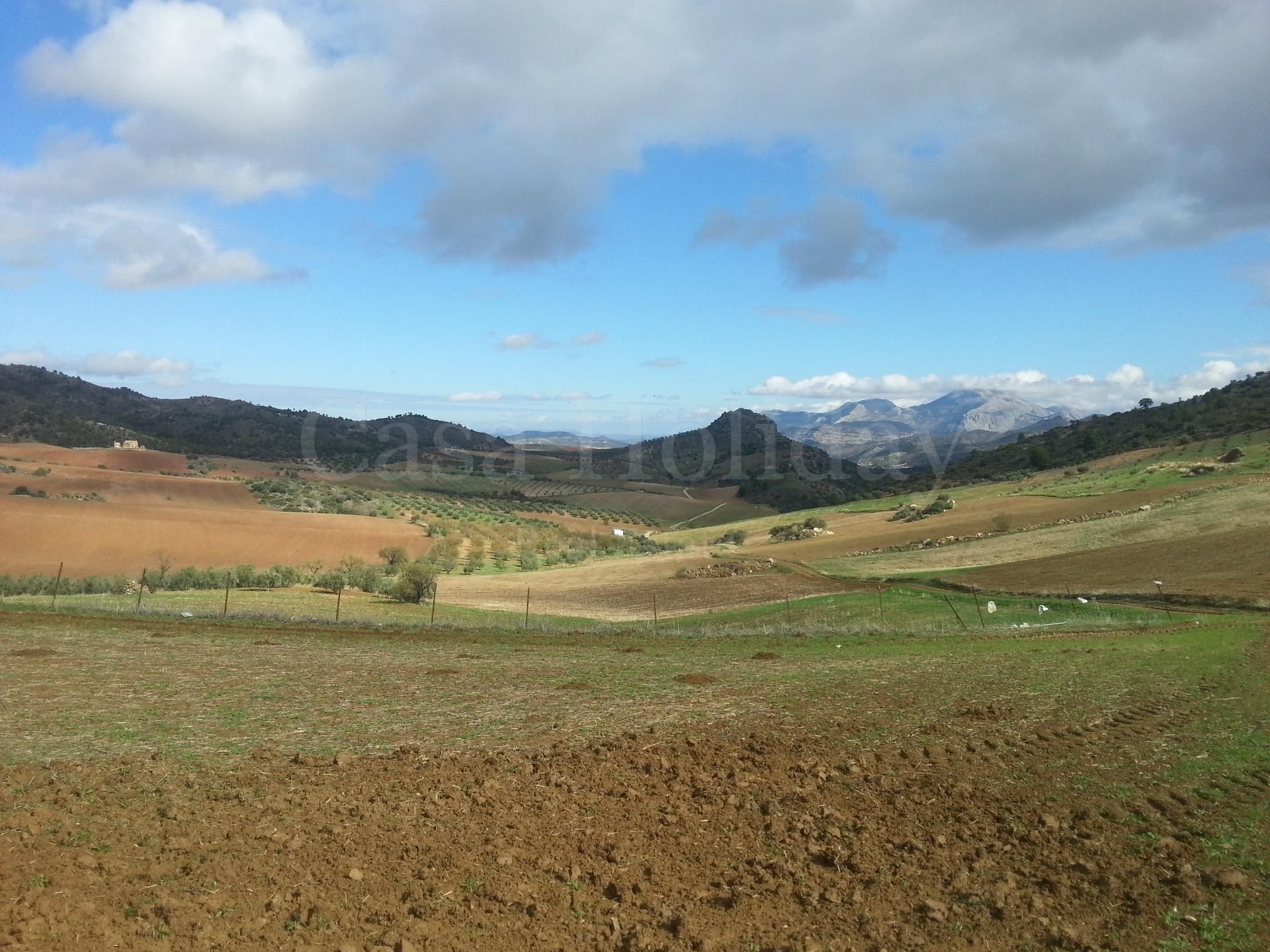 Plot in Ardales