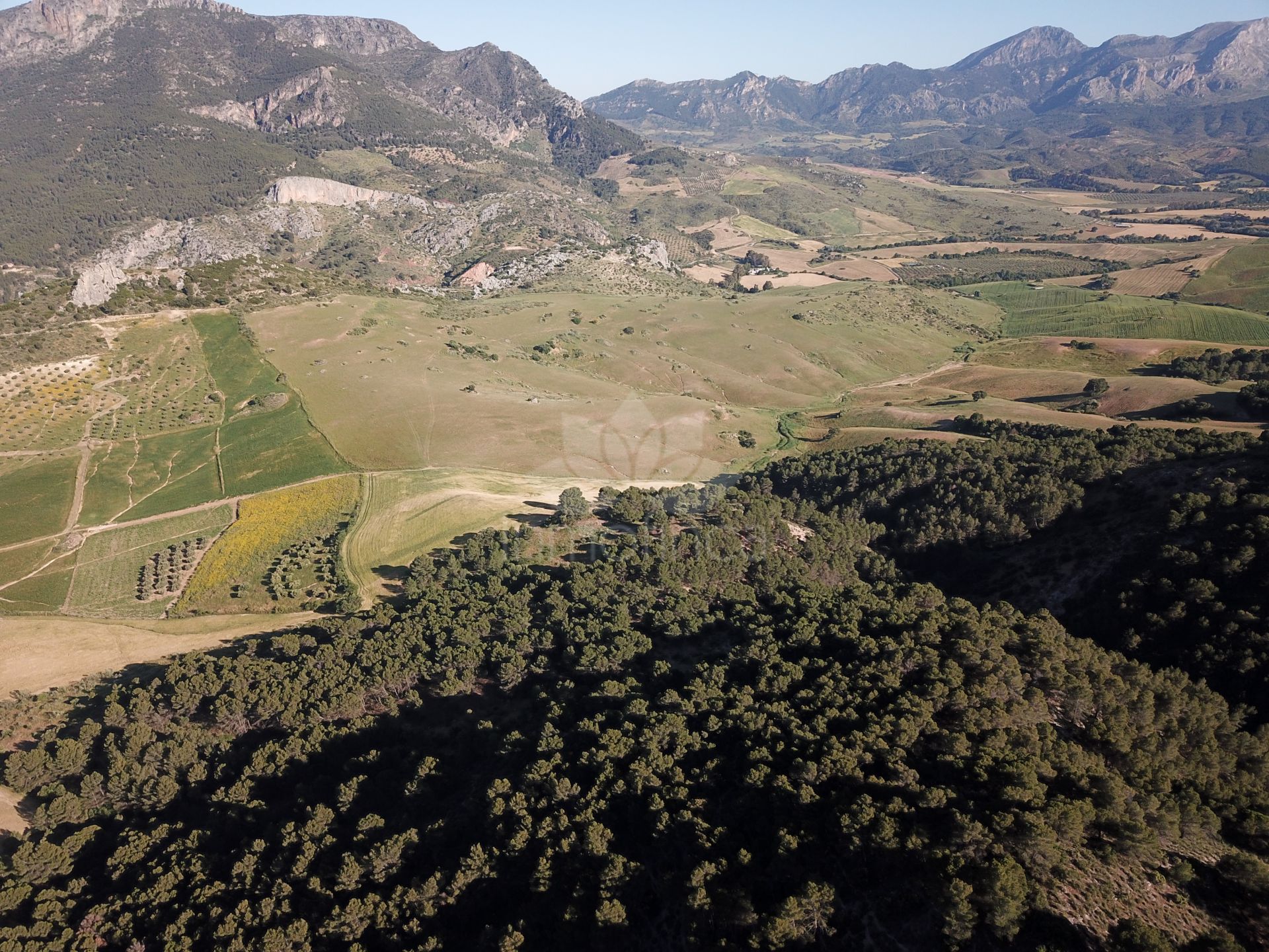 Parcela en Ardales