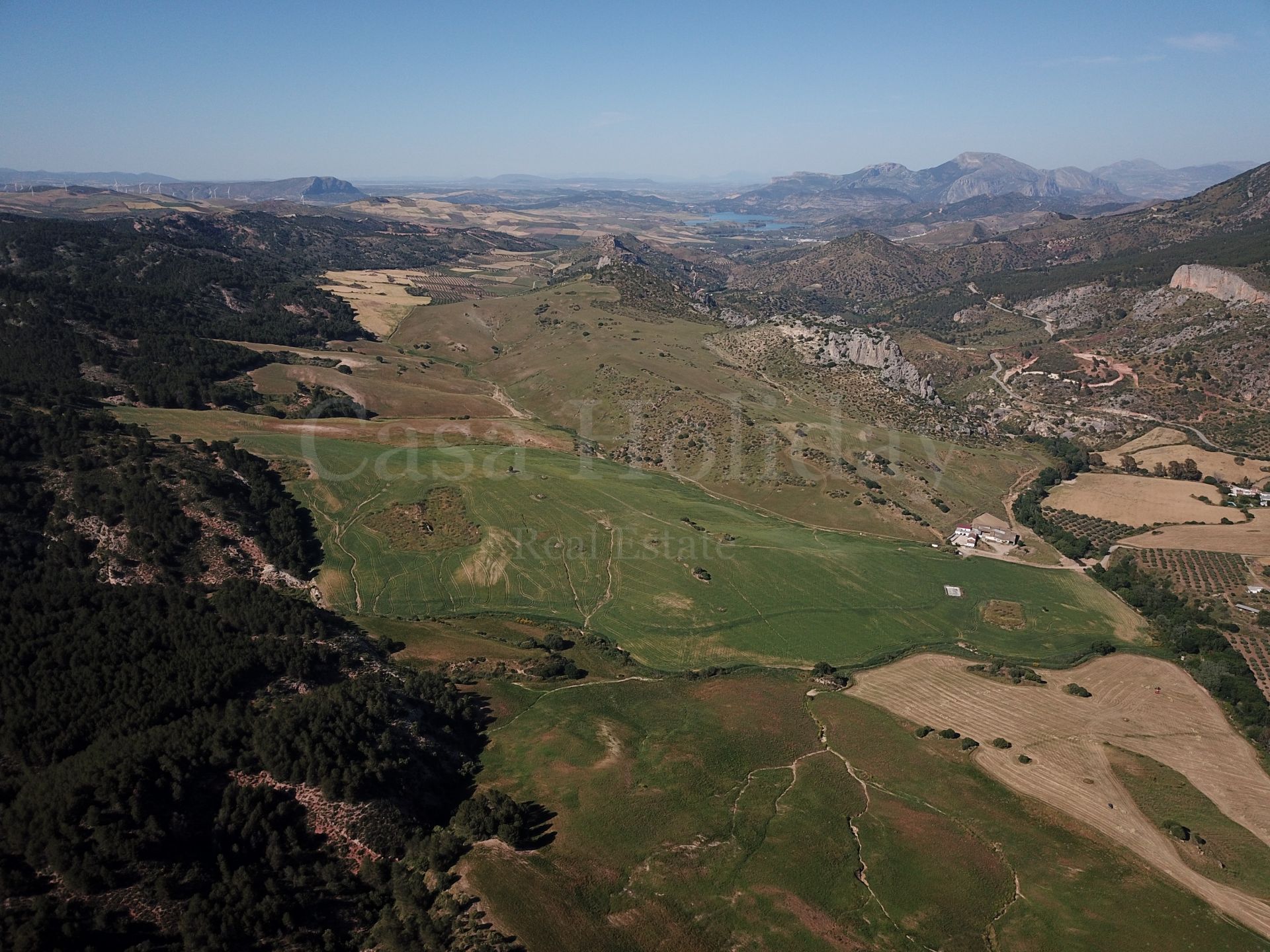 Plot in Ardales