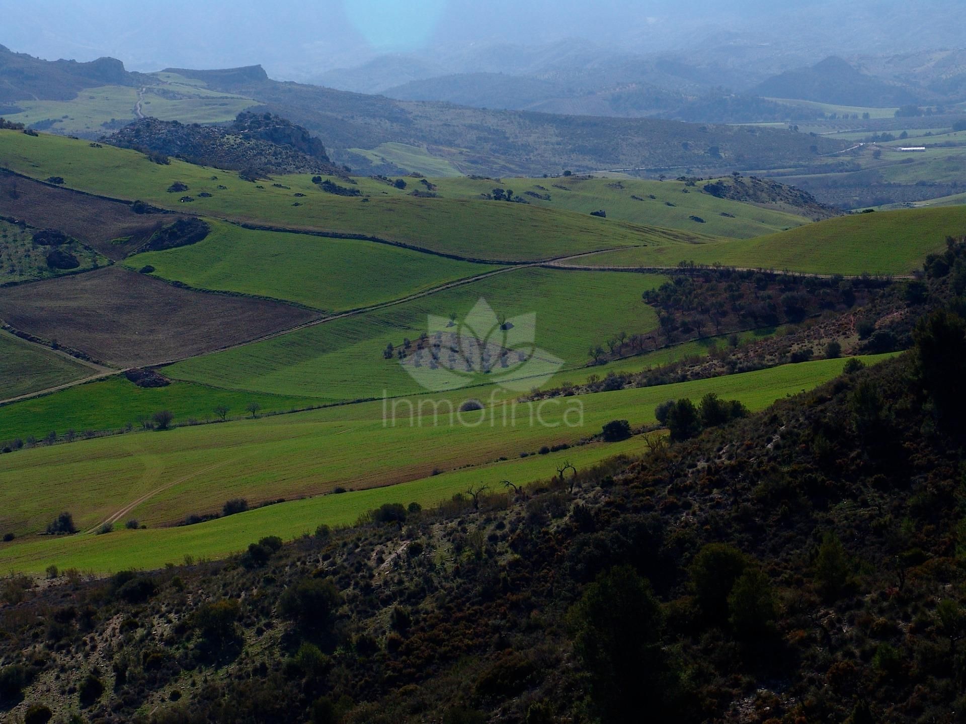 Parcela en Ardales