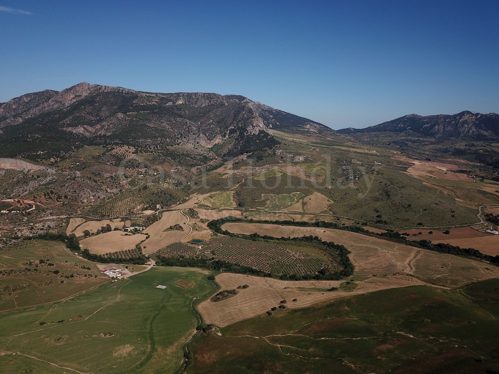 Plot in Ardales