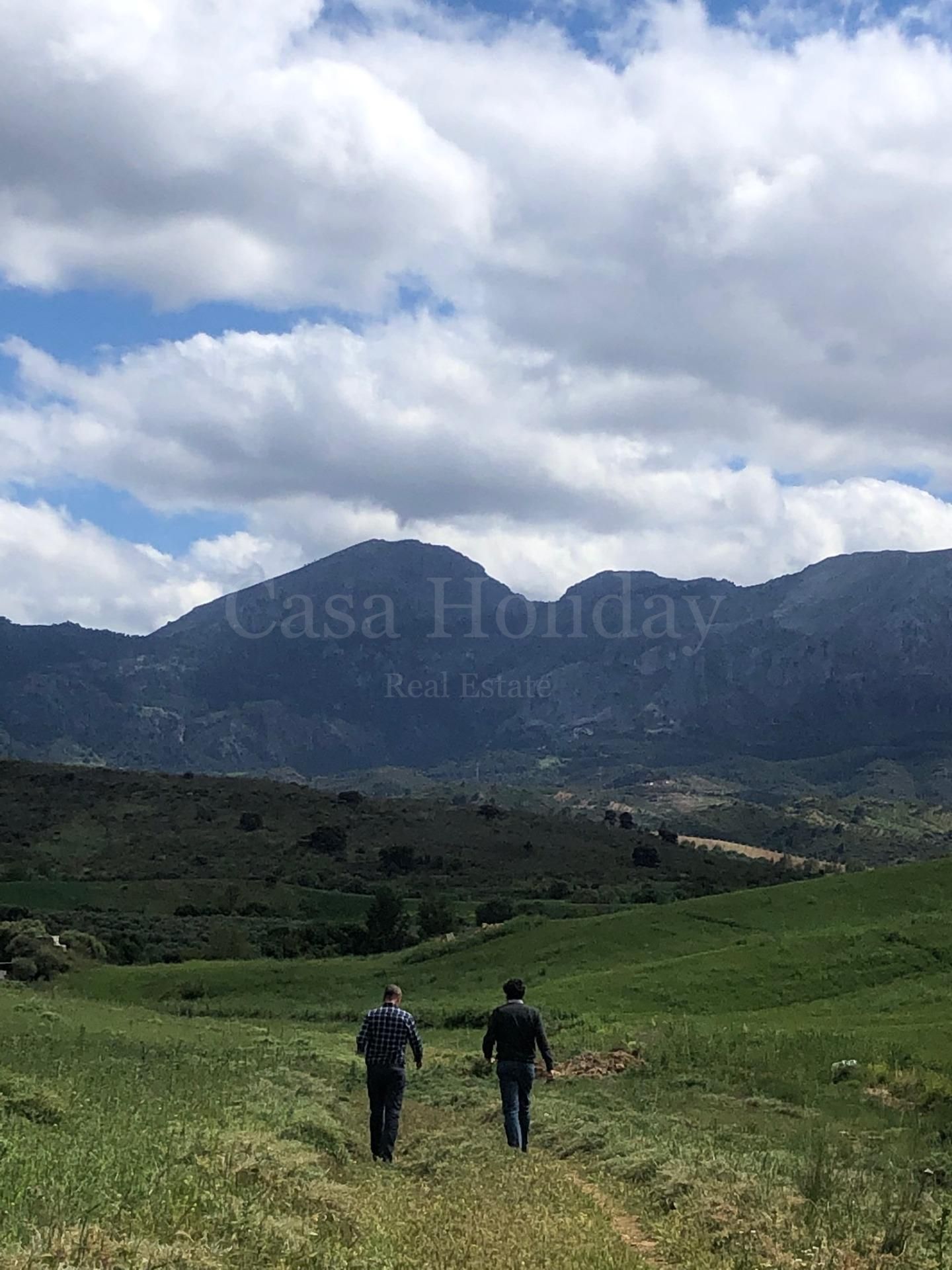 Plot in Ardales