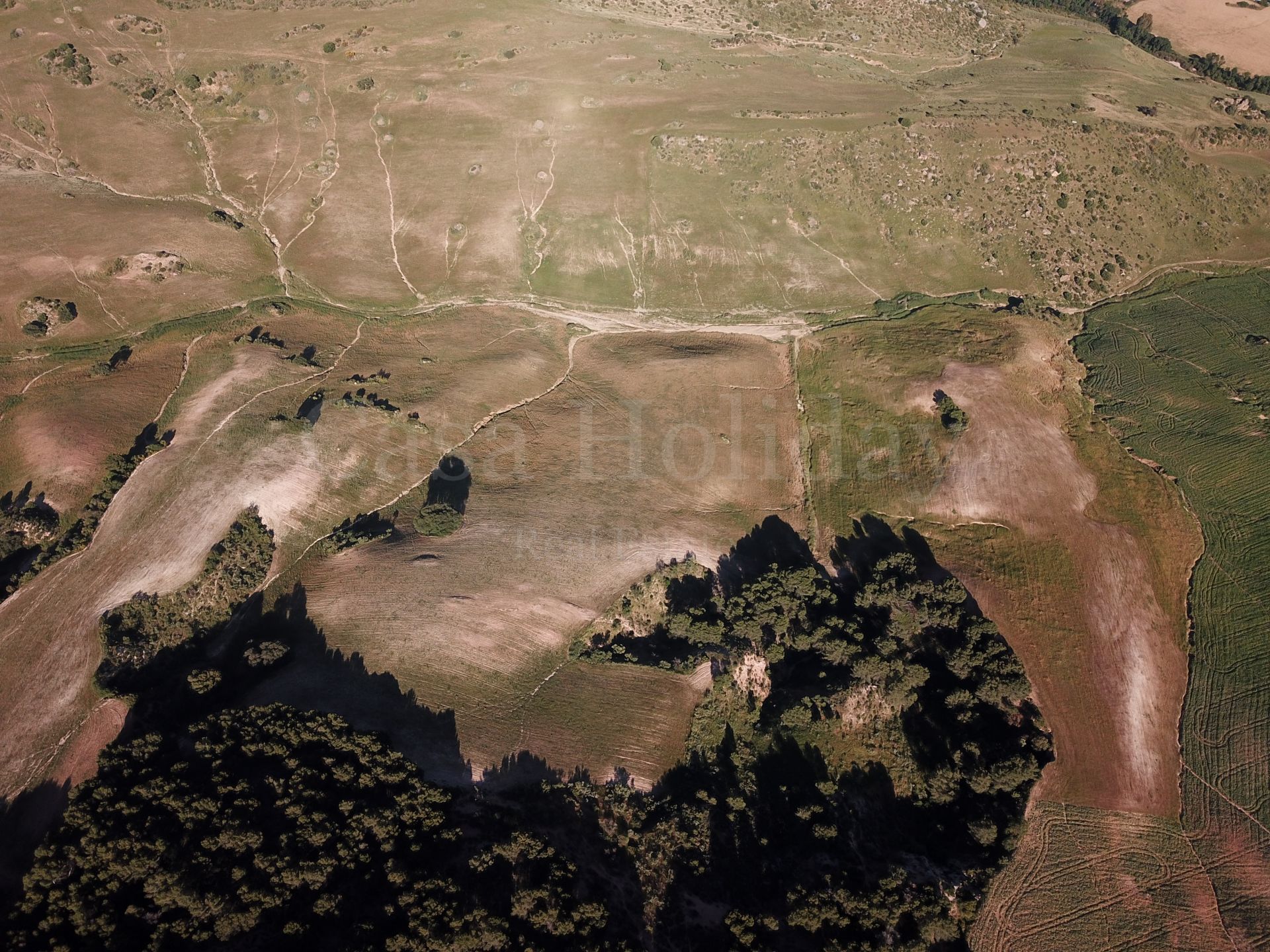 Plot in Ardales