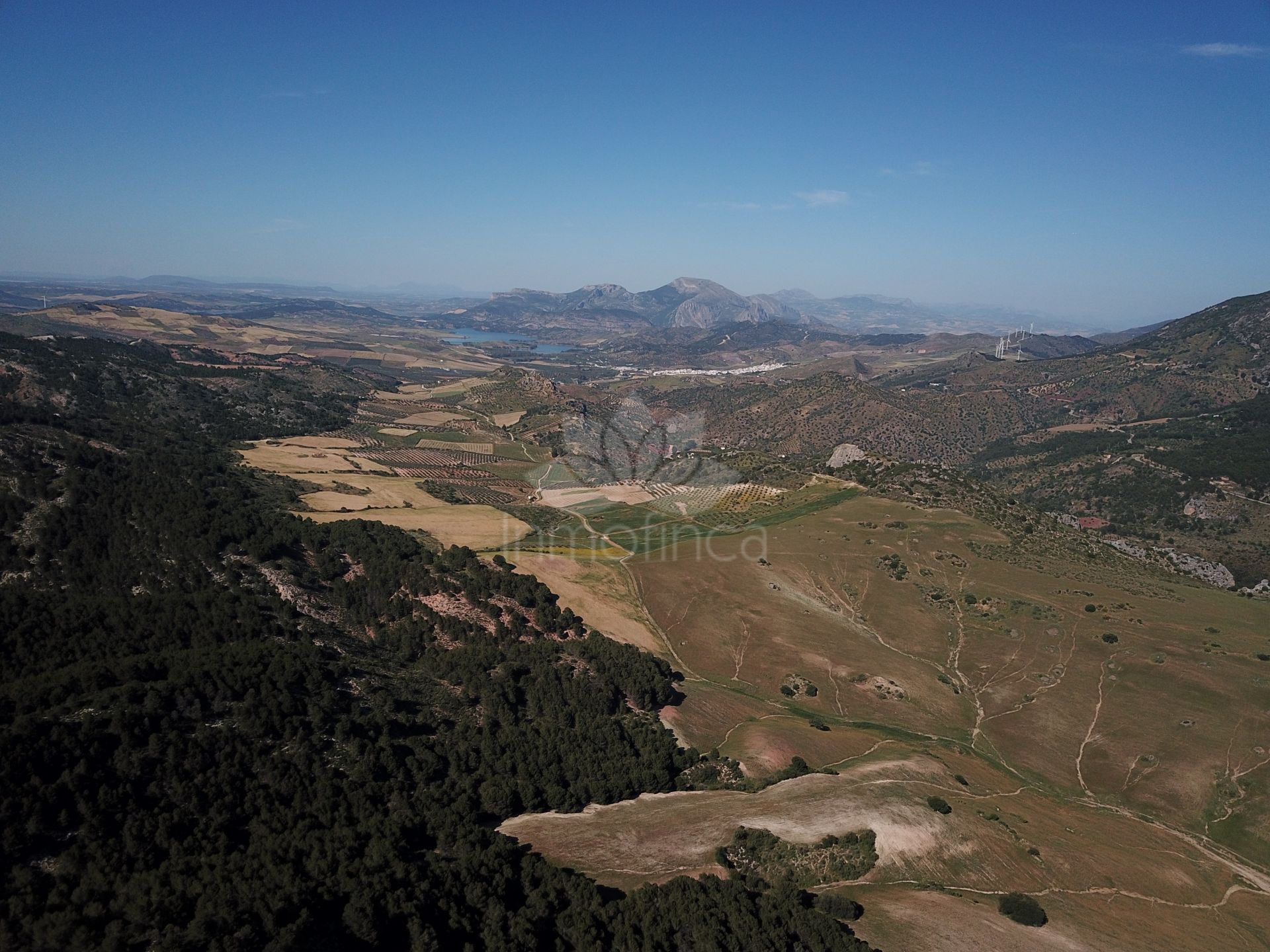 Parcela en Ardales