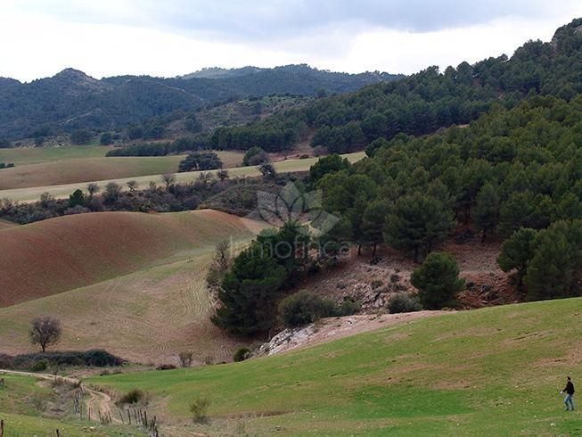 Parcela en Ardales