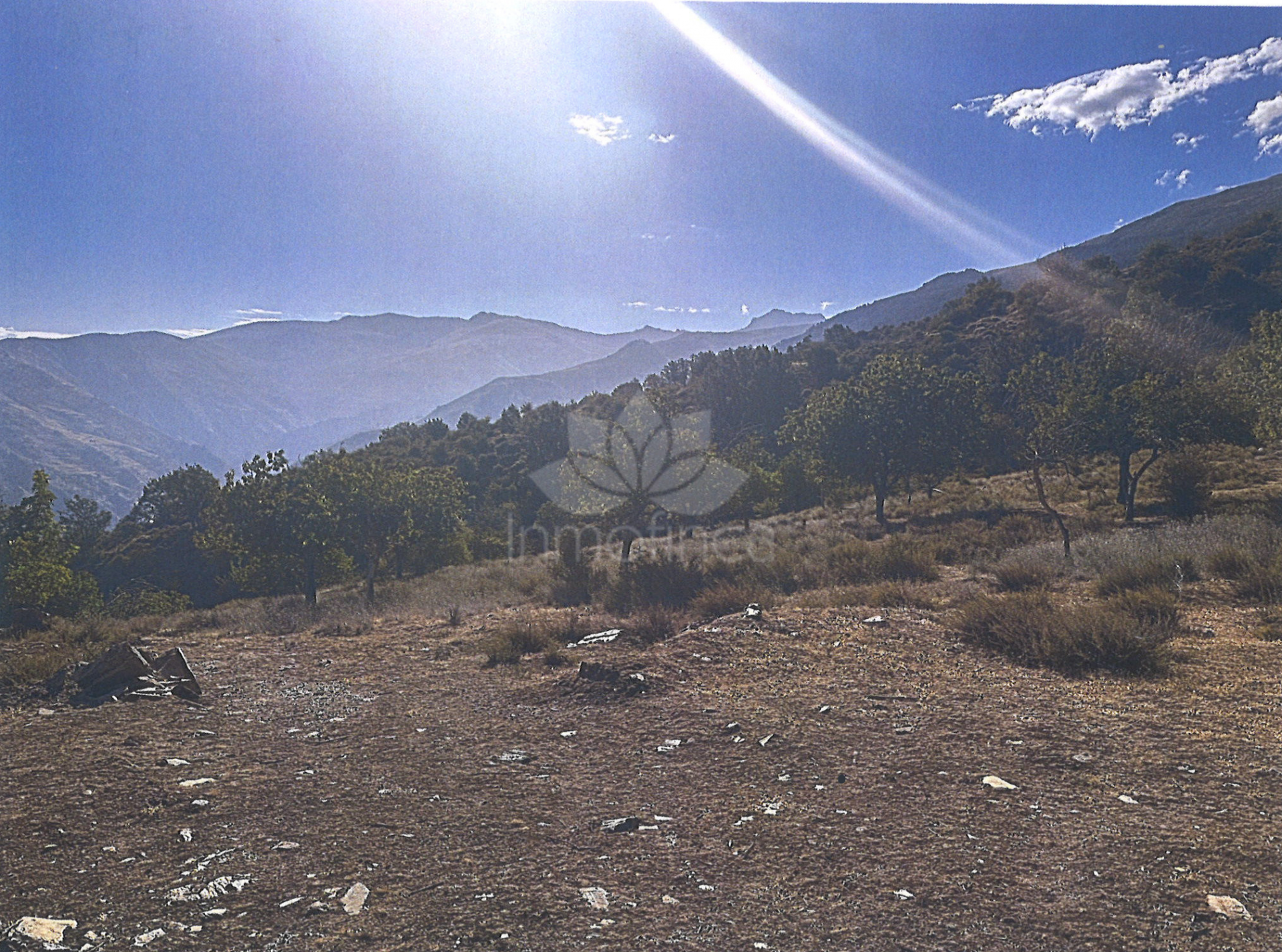 Plot in Güejar Sierra