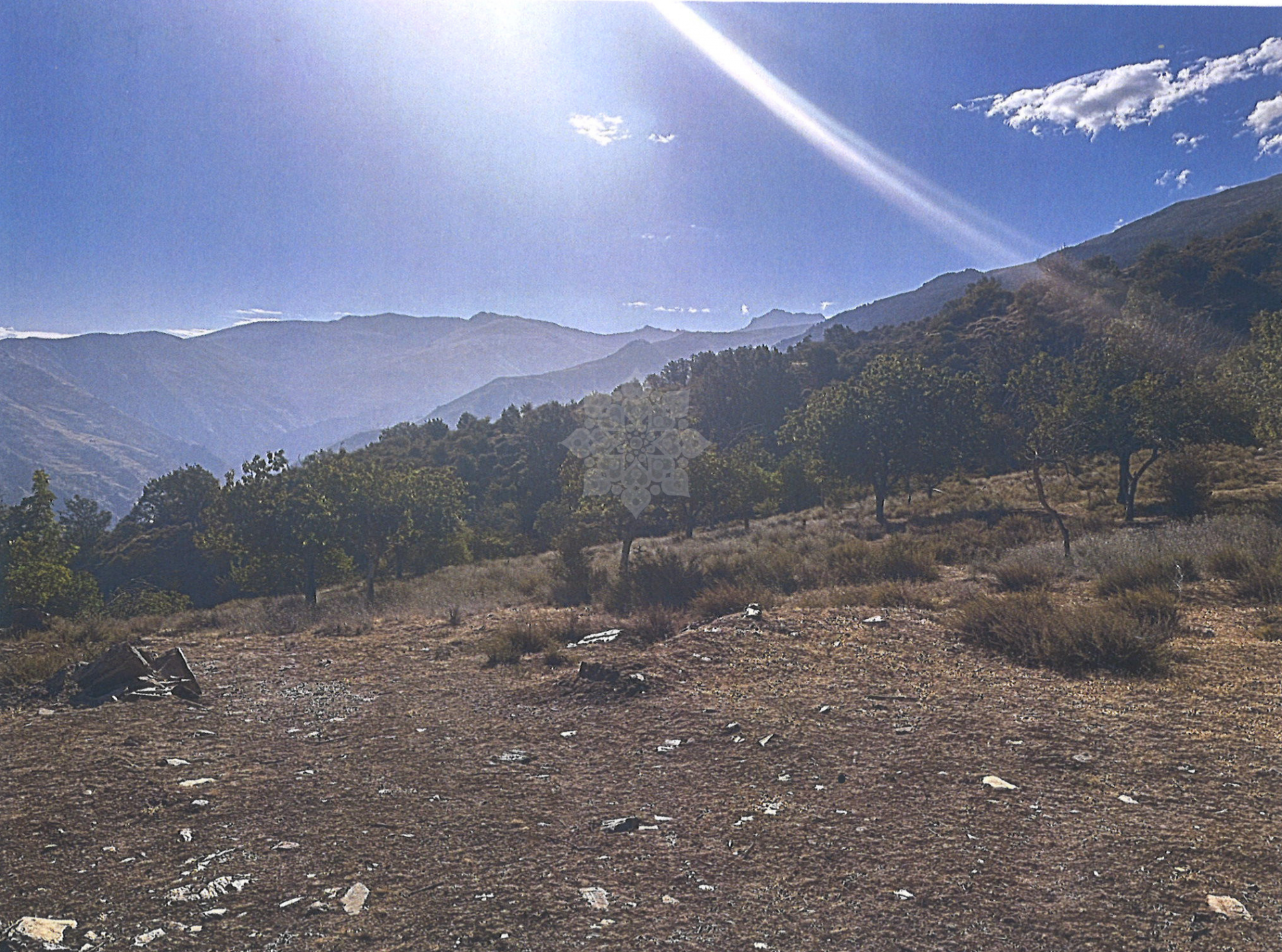 Dzialka w Güejar Sierra