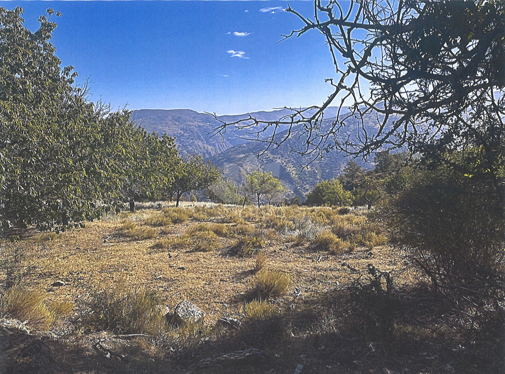 Plot in Güejar Sierra