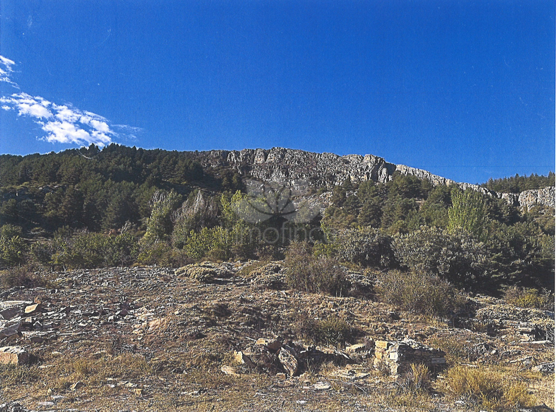 Plot in Güejar Sierra