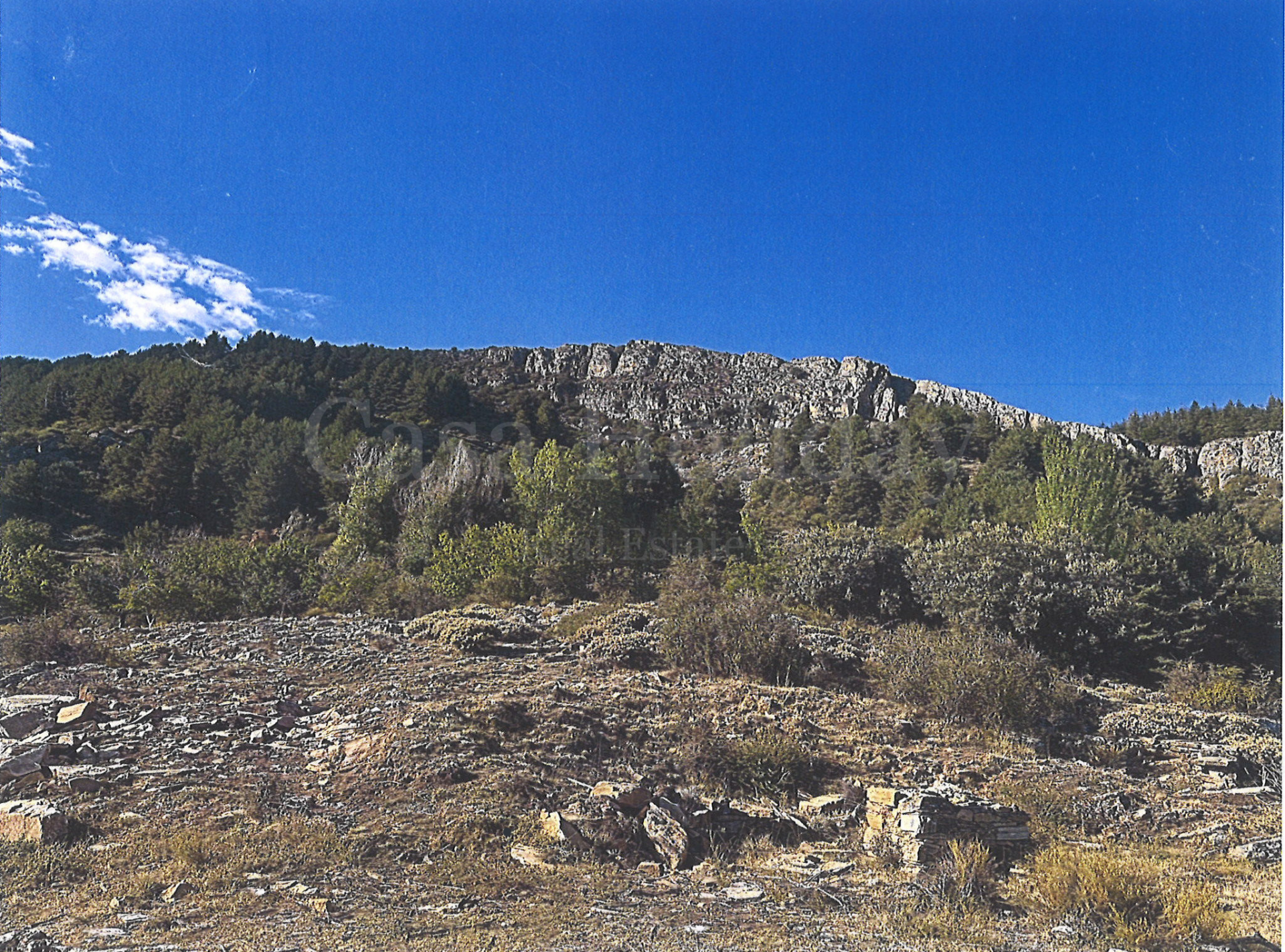 Parcela en Güejar Sierra