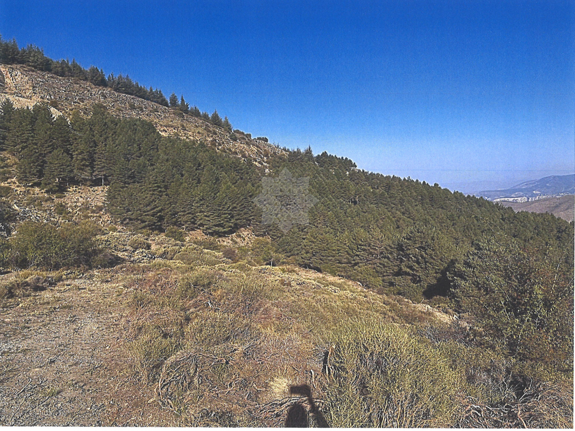 Dzialka w Güejar Sierra