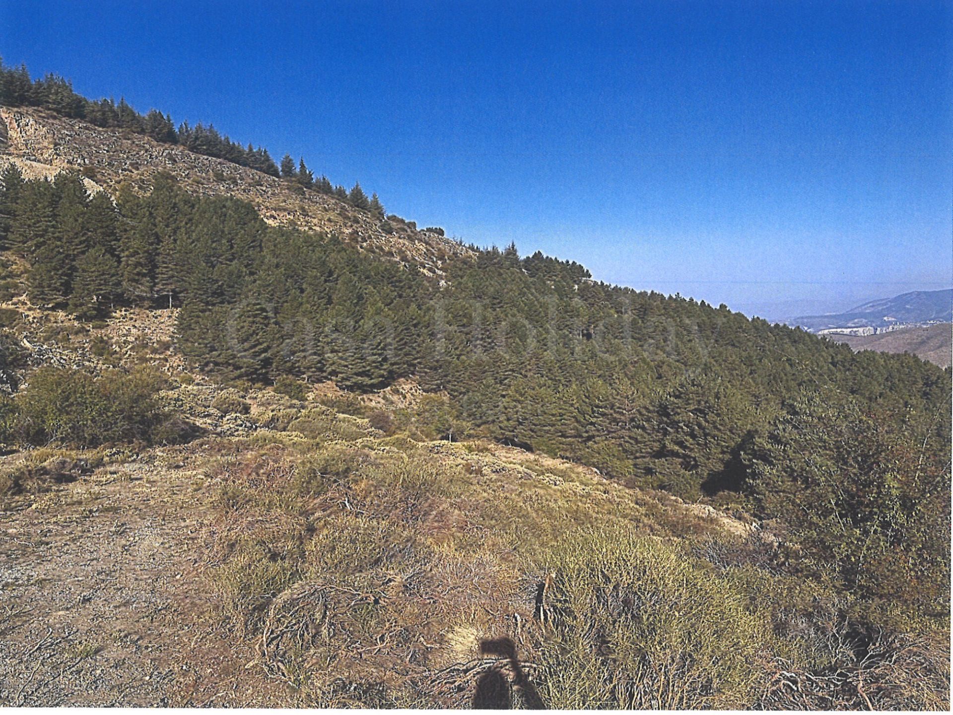 Parcela en Güejar Sierra