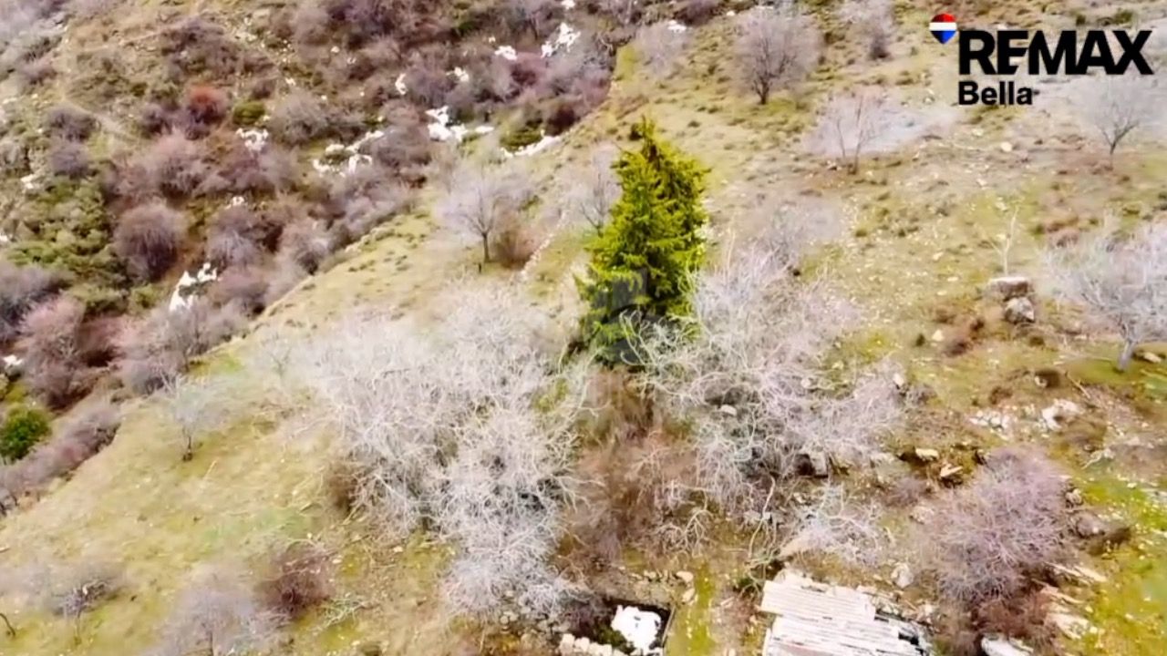 Plot in Güejar Sierra