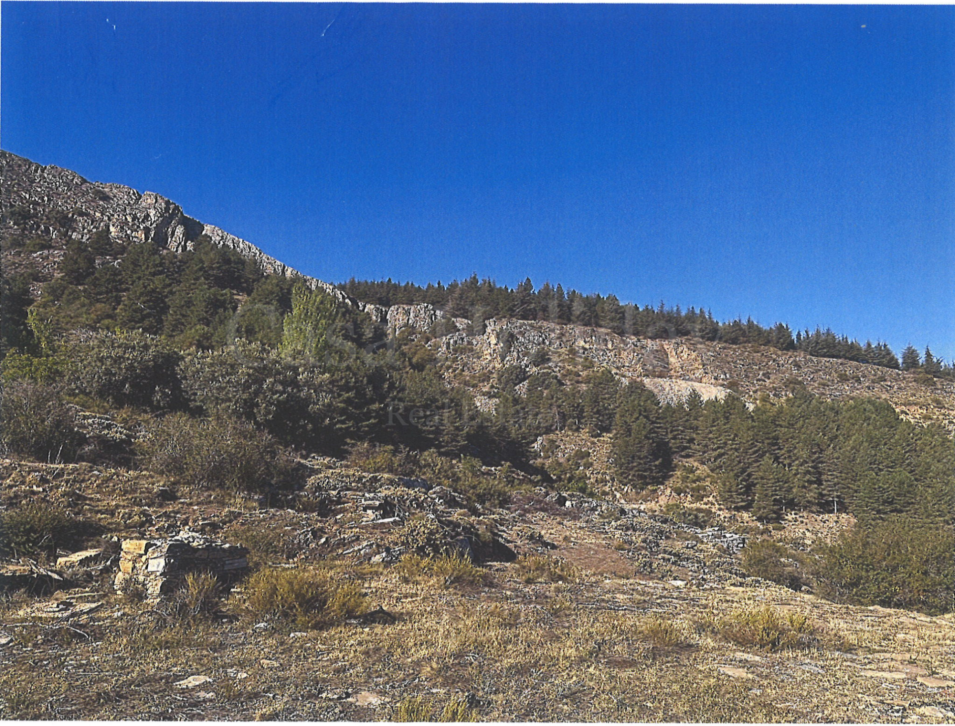 Parcela en Güejar Sierra