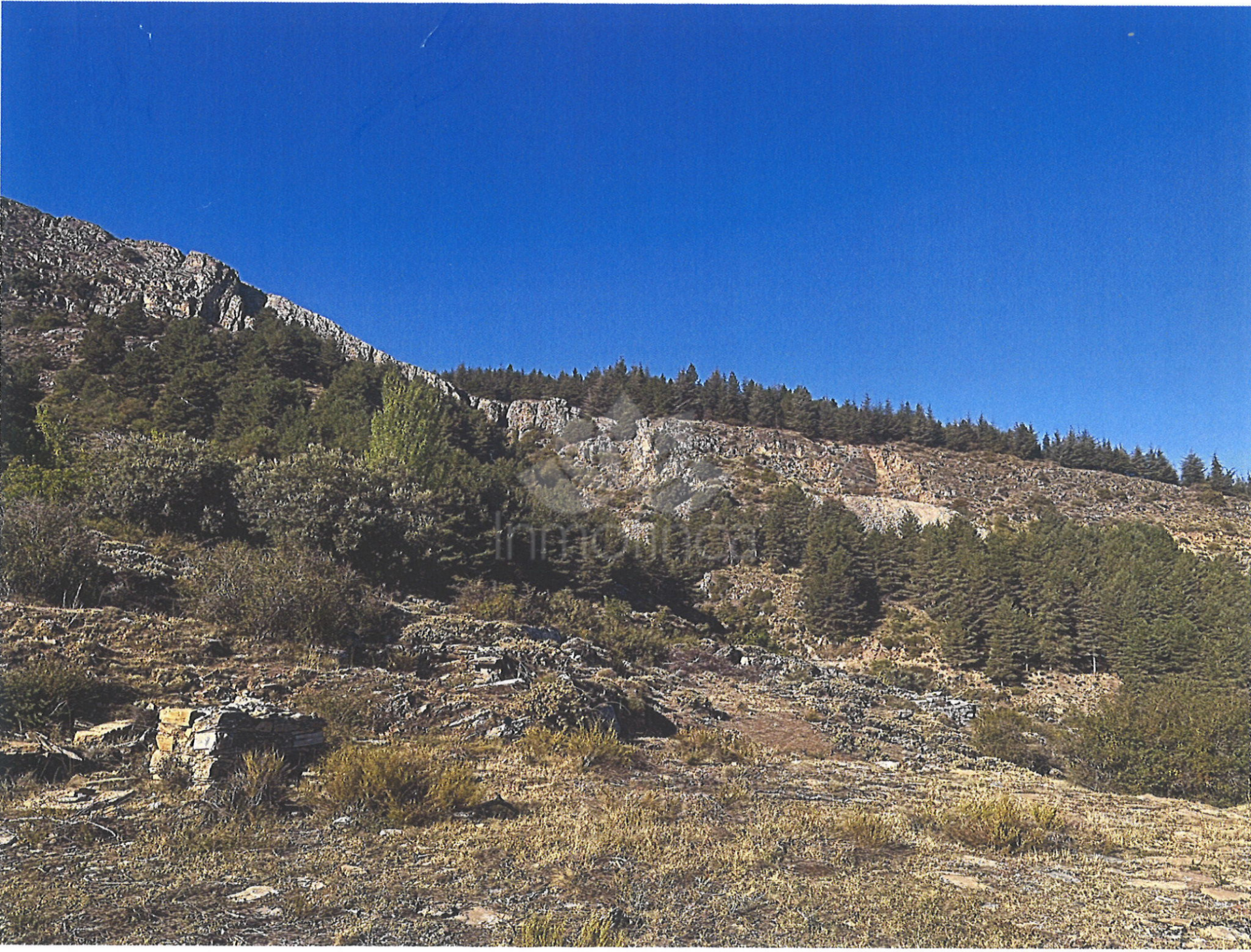 Plot in Güejar Sierra