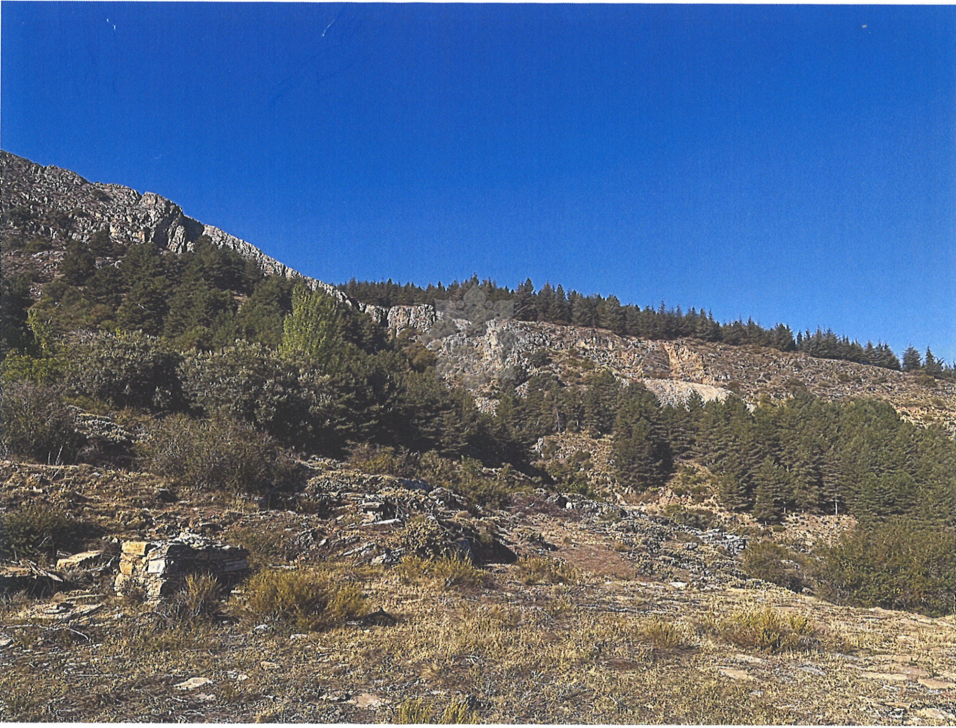 Dzialka w Güejar Sierra