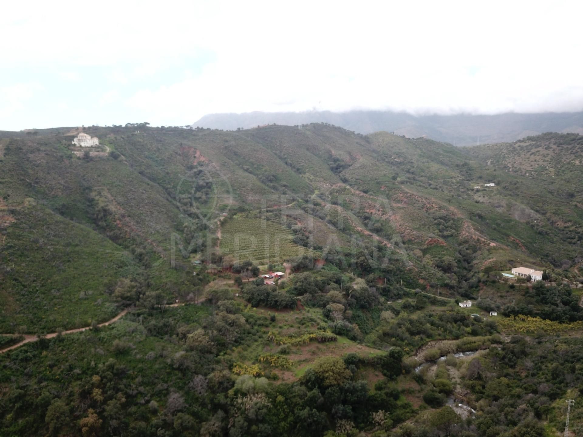 Rustic Plot in Altos de Estepona, Estepona
