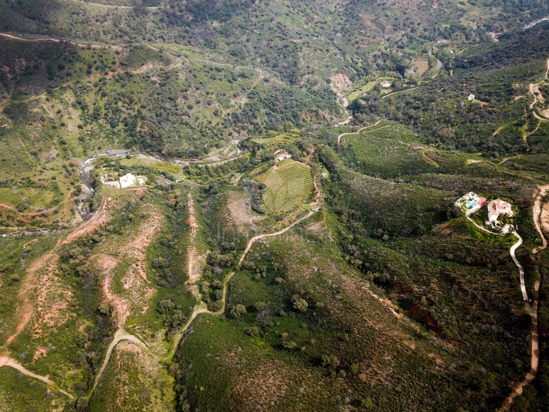 Parcela Rustica en Altos de Estepona, Estepona