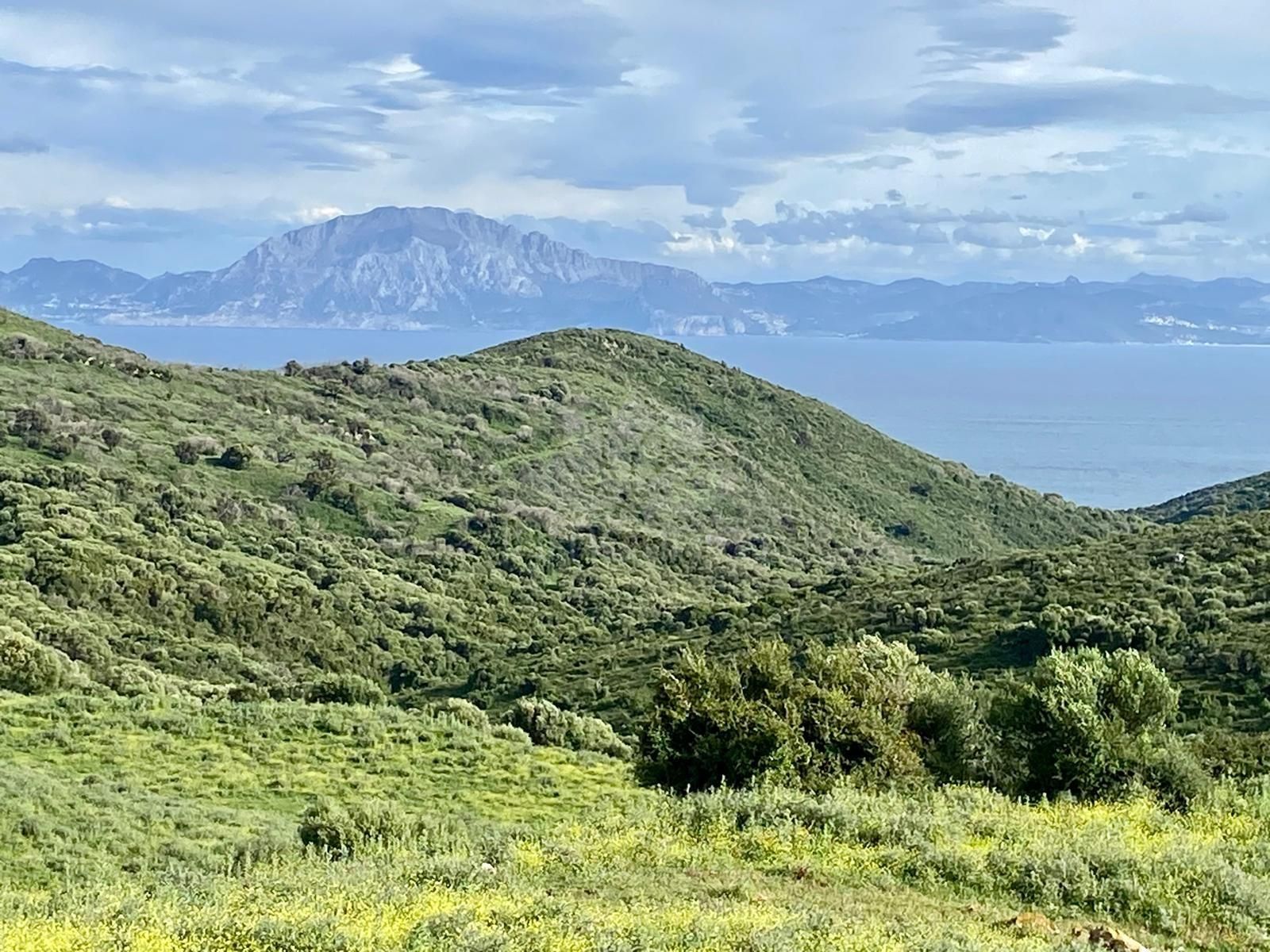 Finca en Tarifa