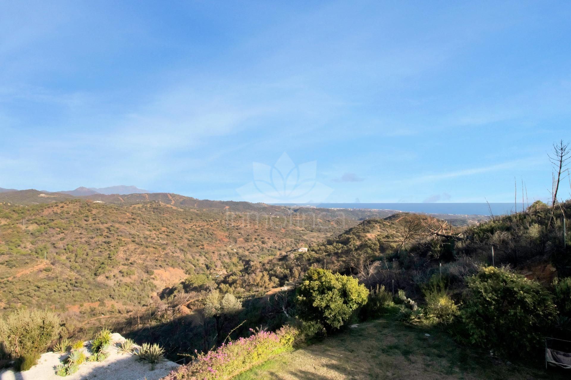 Villa en Estepona