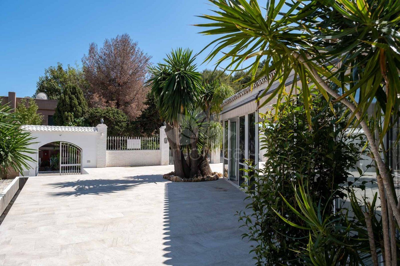 Negocio en El Pilar, Estepona