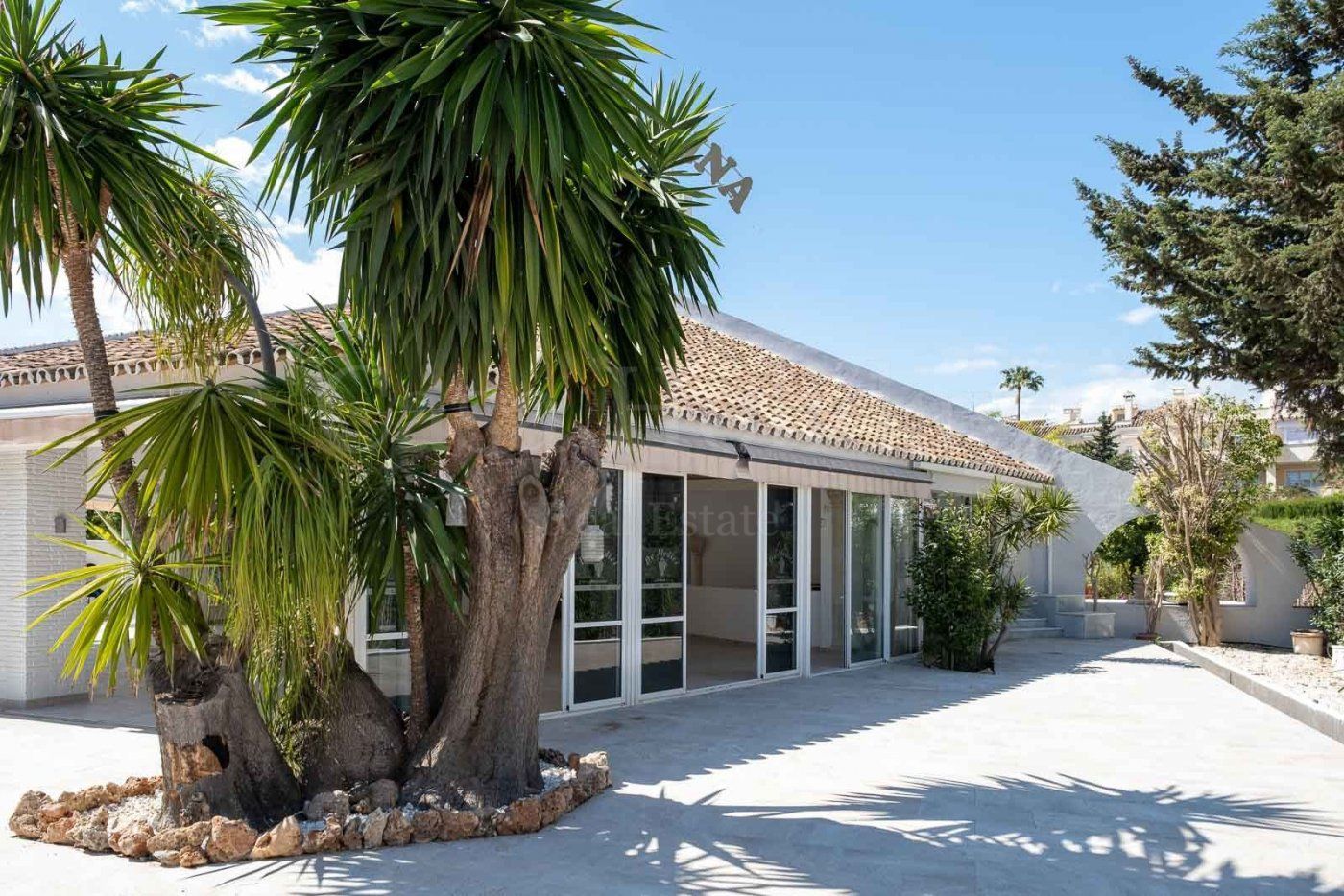 Negocio en El Pilar, Estepona