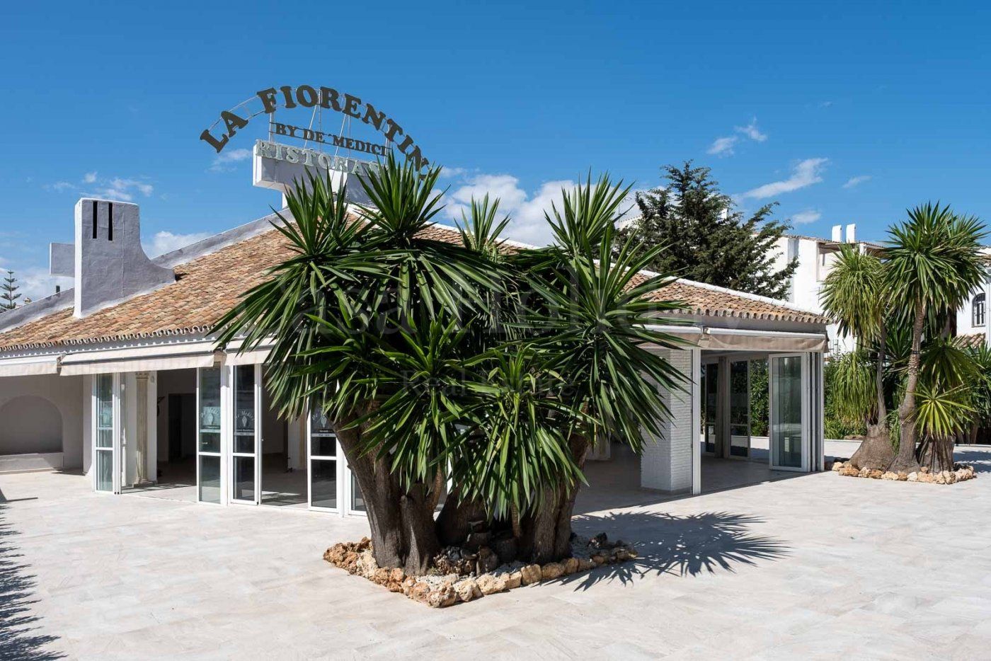 Negocio en El Pilar, Estepona