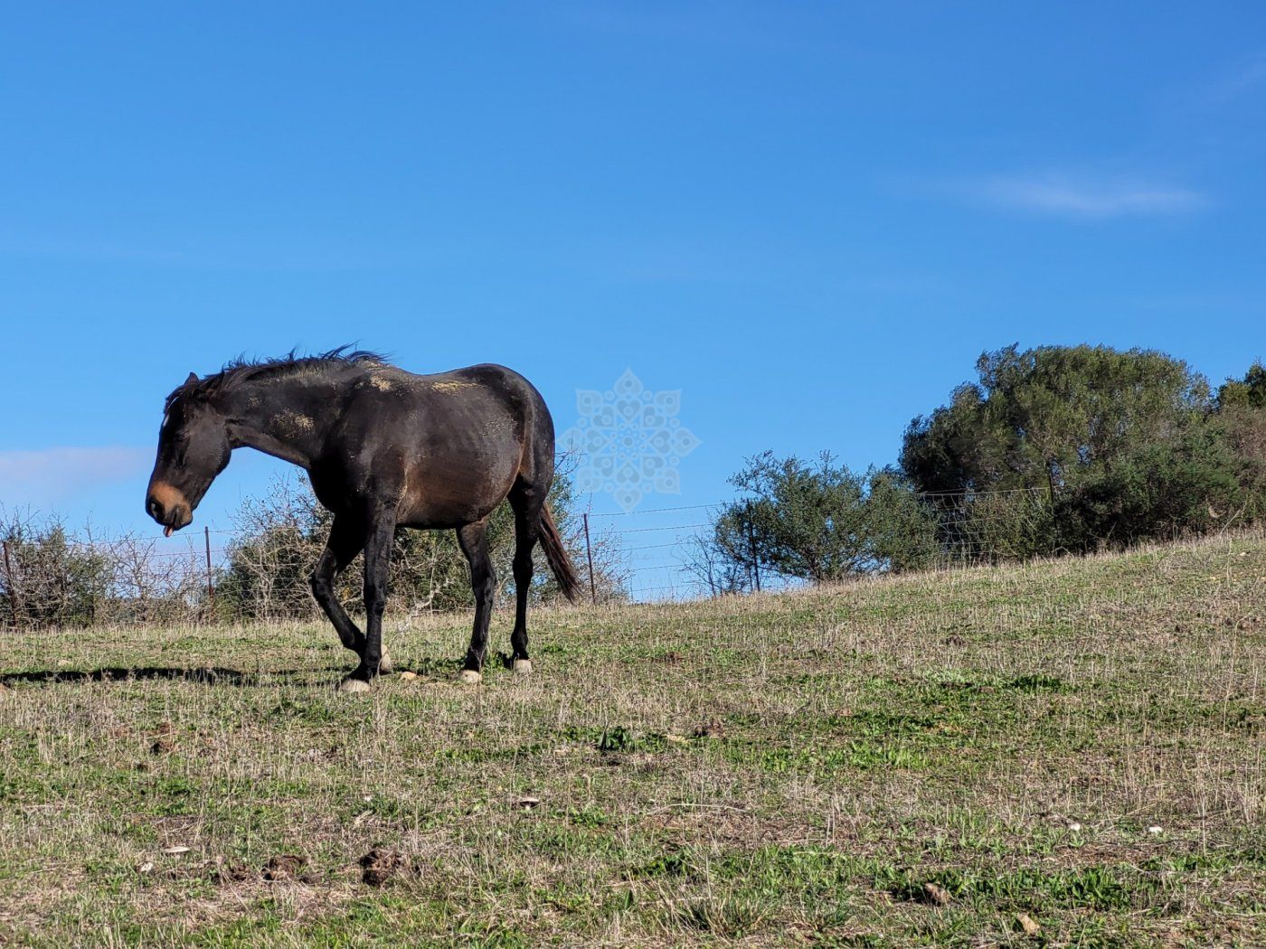 Villa en San Martin del Tesorillo