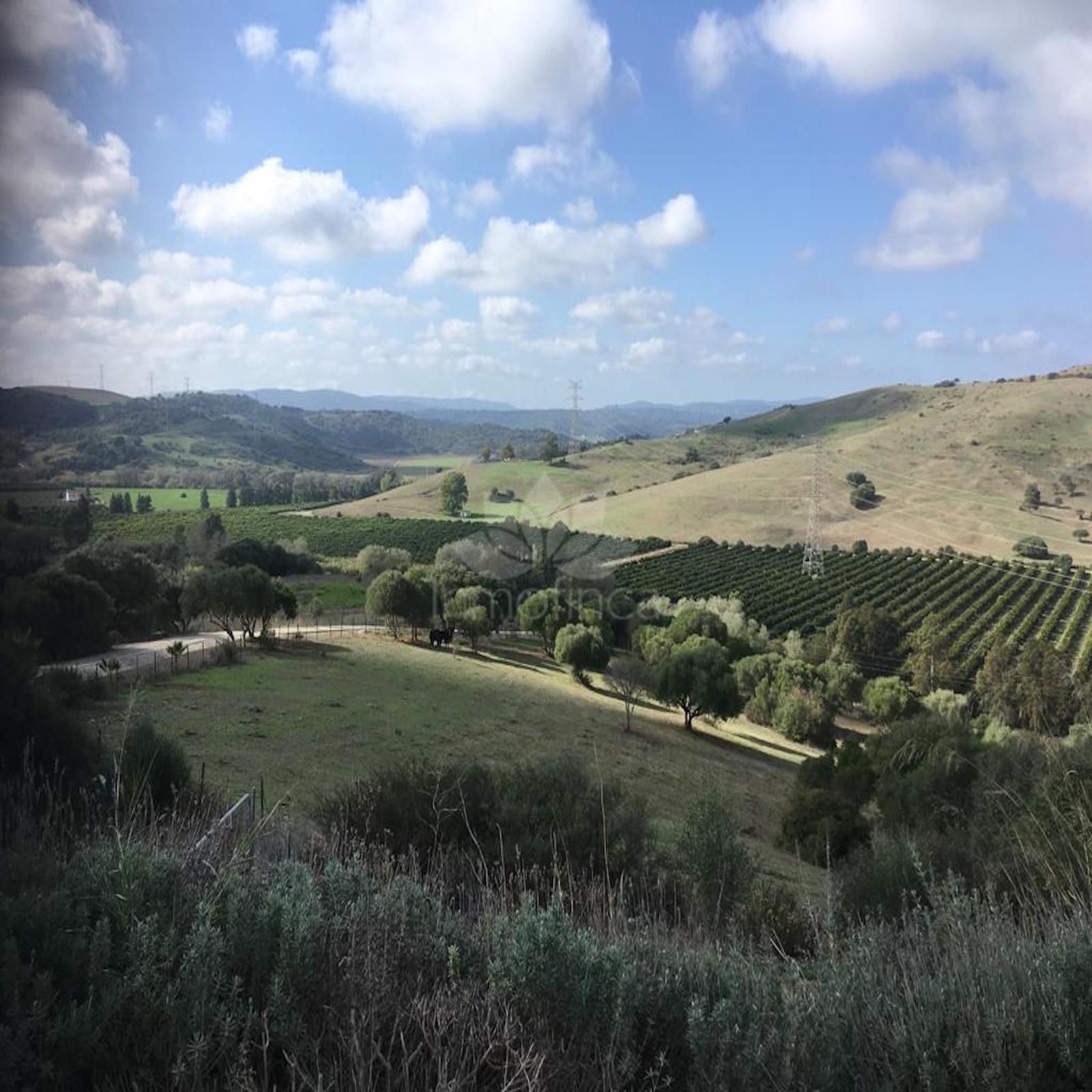 Villa in San Martin del Tesorillo