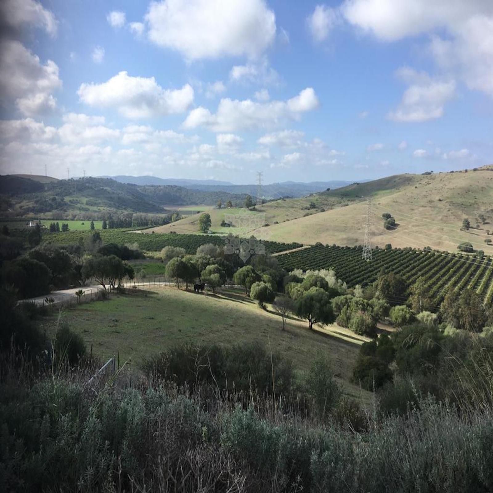 Villa en San Martin del Tesorillo