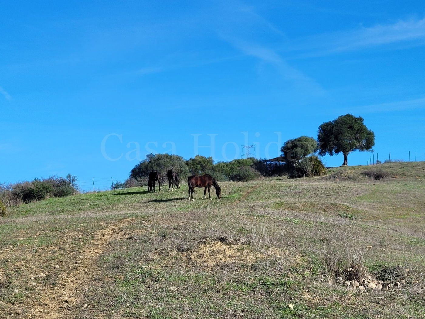 Villa en San Martin del Tesorillo