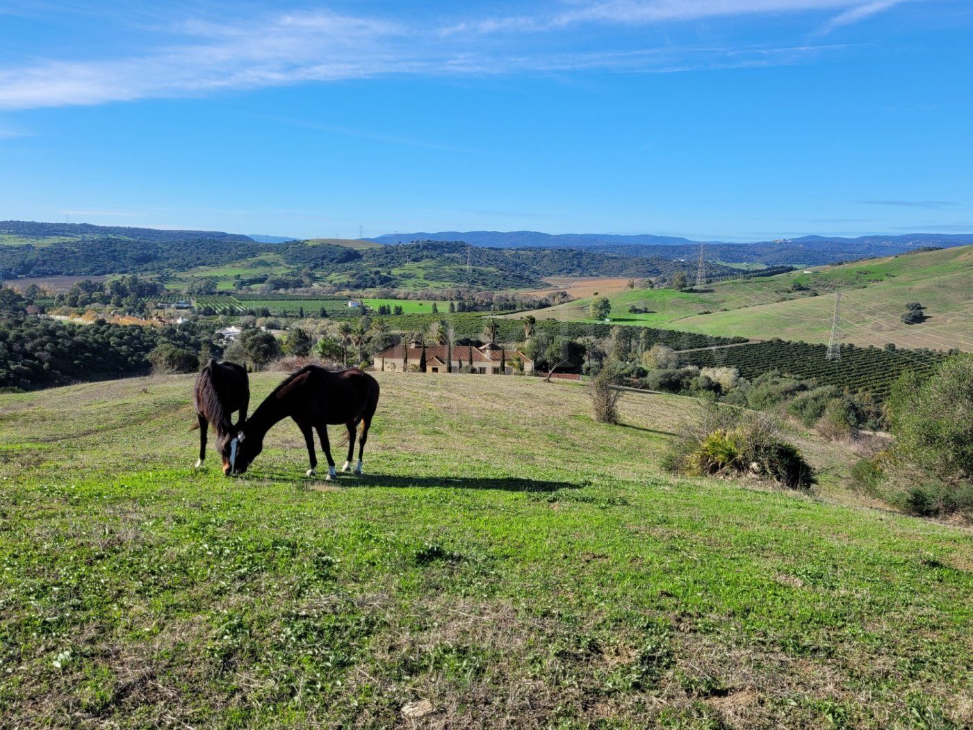 Villa en San Martin del Tesorillo