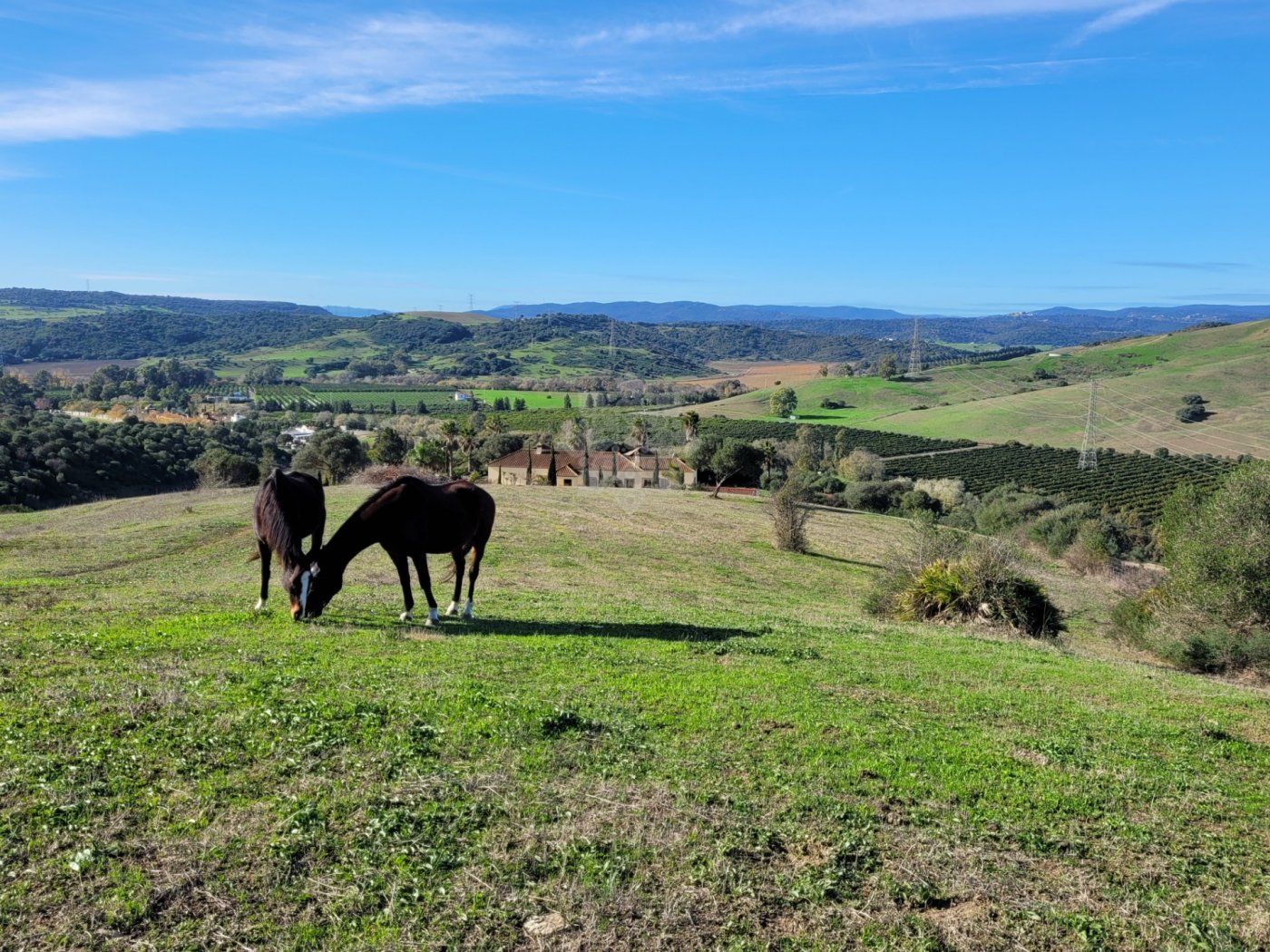Villa en San Martin del Tesorillo