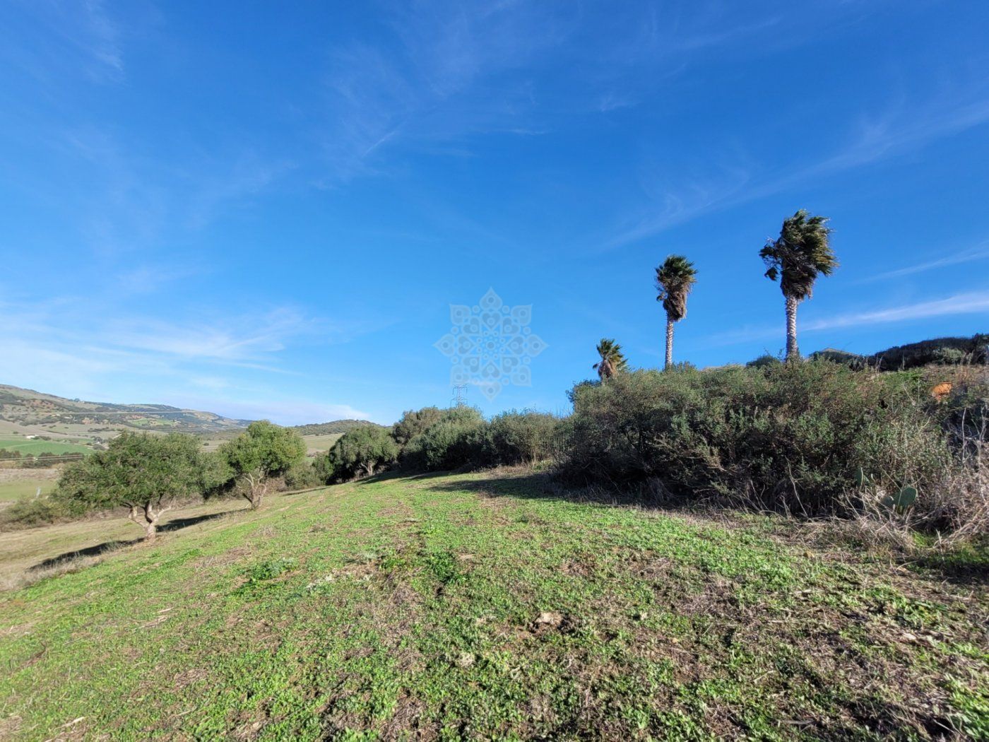 Villa en San Martin del Tesorillo