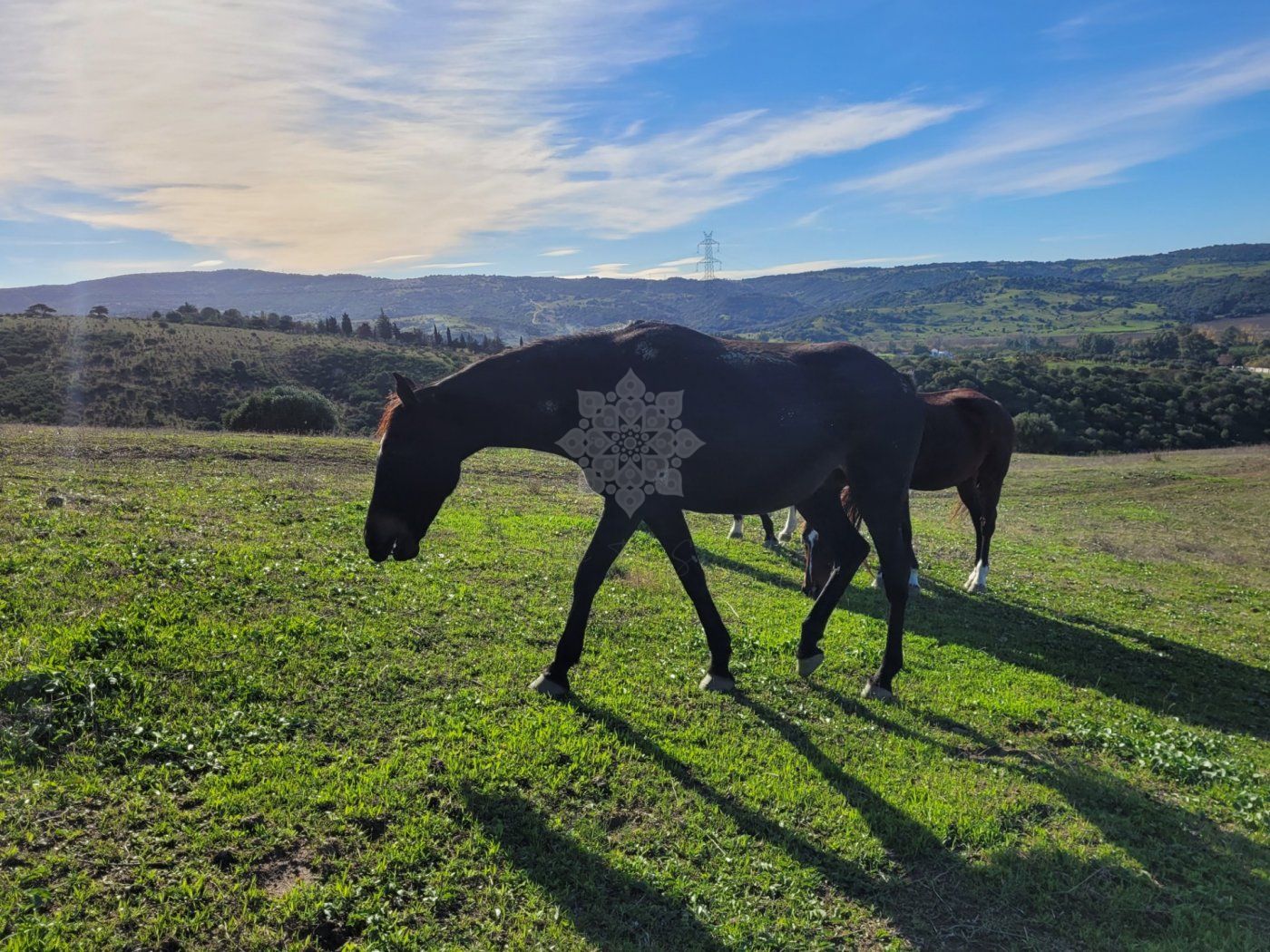 Villa en San Martin del Tesorillo
