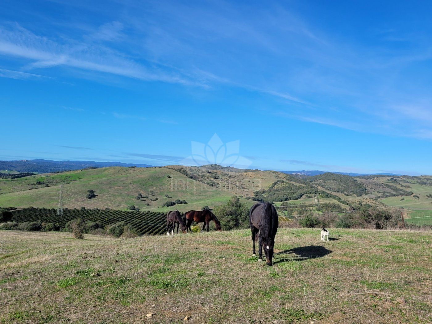 Villa in San Martin del Tesorillo