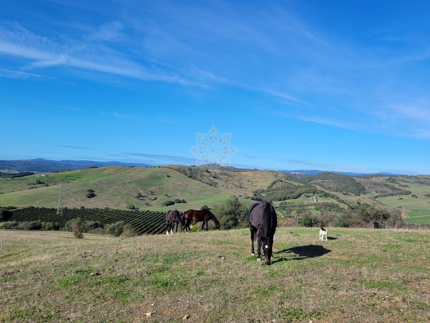 Villa en San Martin del Tesorillo