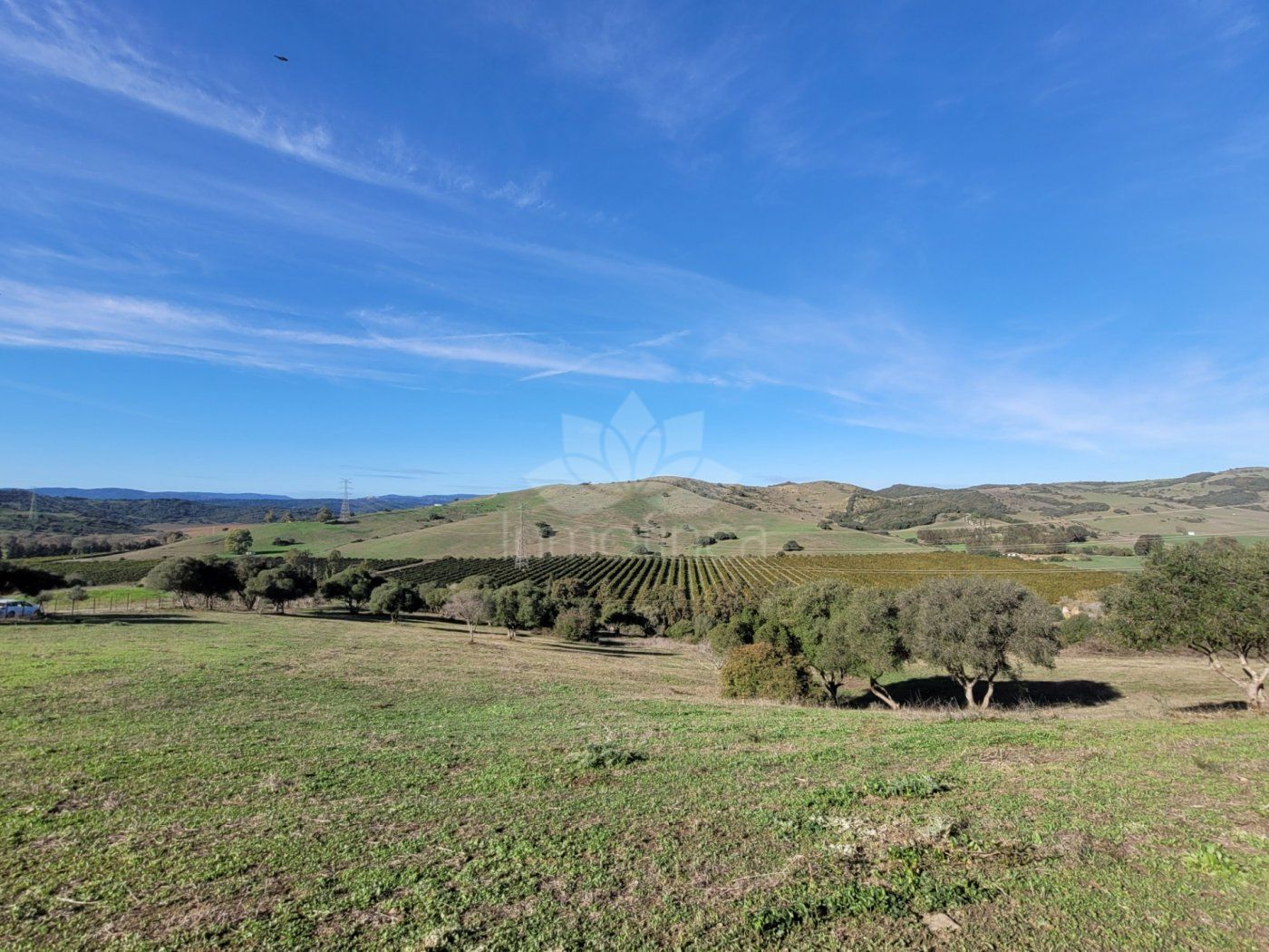 Villa in San Martin del Tesorillo