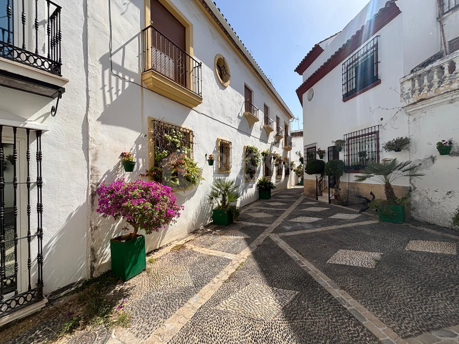 For Sale or Rent – Commercial Premises on Calle Caridad, Estepona