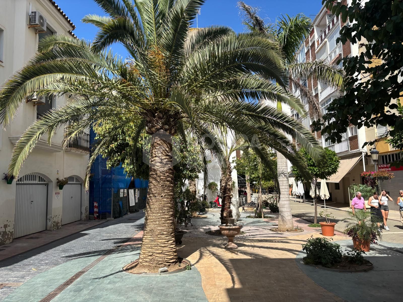 For Sale or Rent – Commercial Premises on Calle Caridad, Estepona