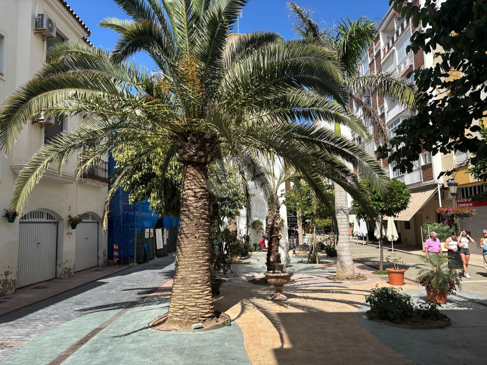 Local Comercial en Estepona Casco Antiguo, Estepona