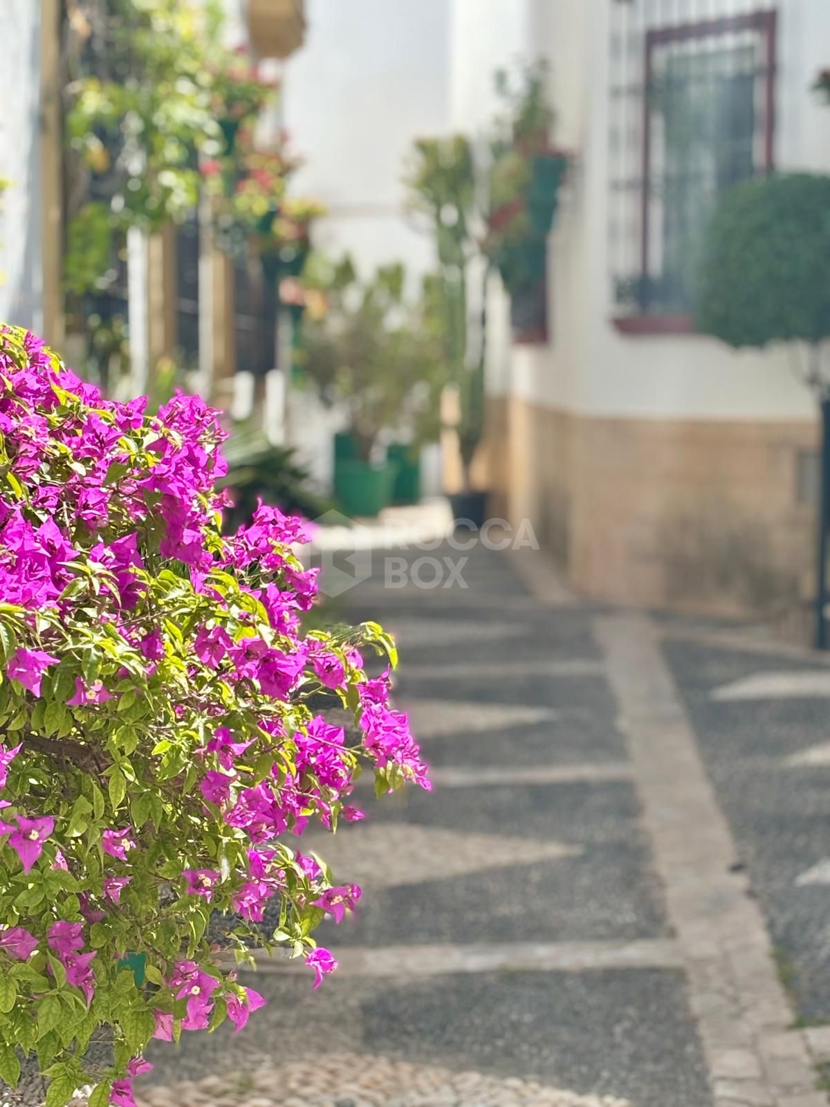 For Sale or Rent – Commercial Premises on Calle Caridad, Estepona