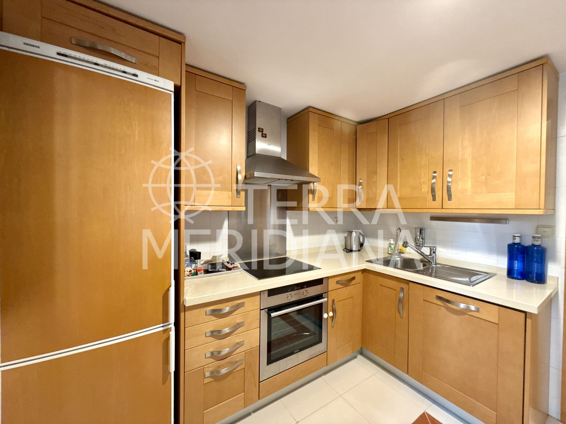 Apartment in Las Mimosas, Marbella