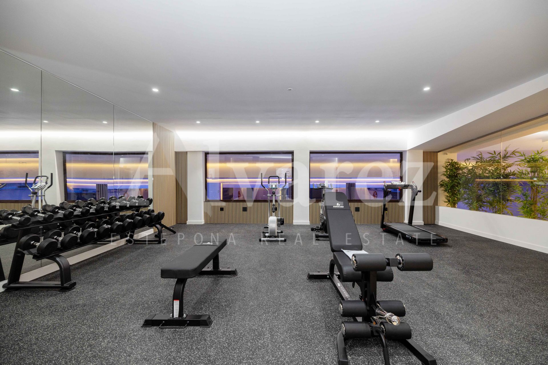 Promoción en Estepona Oeste, Estepona