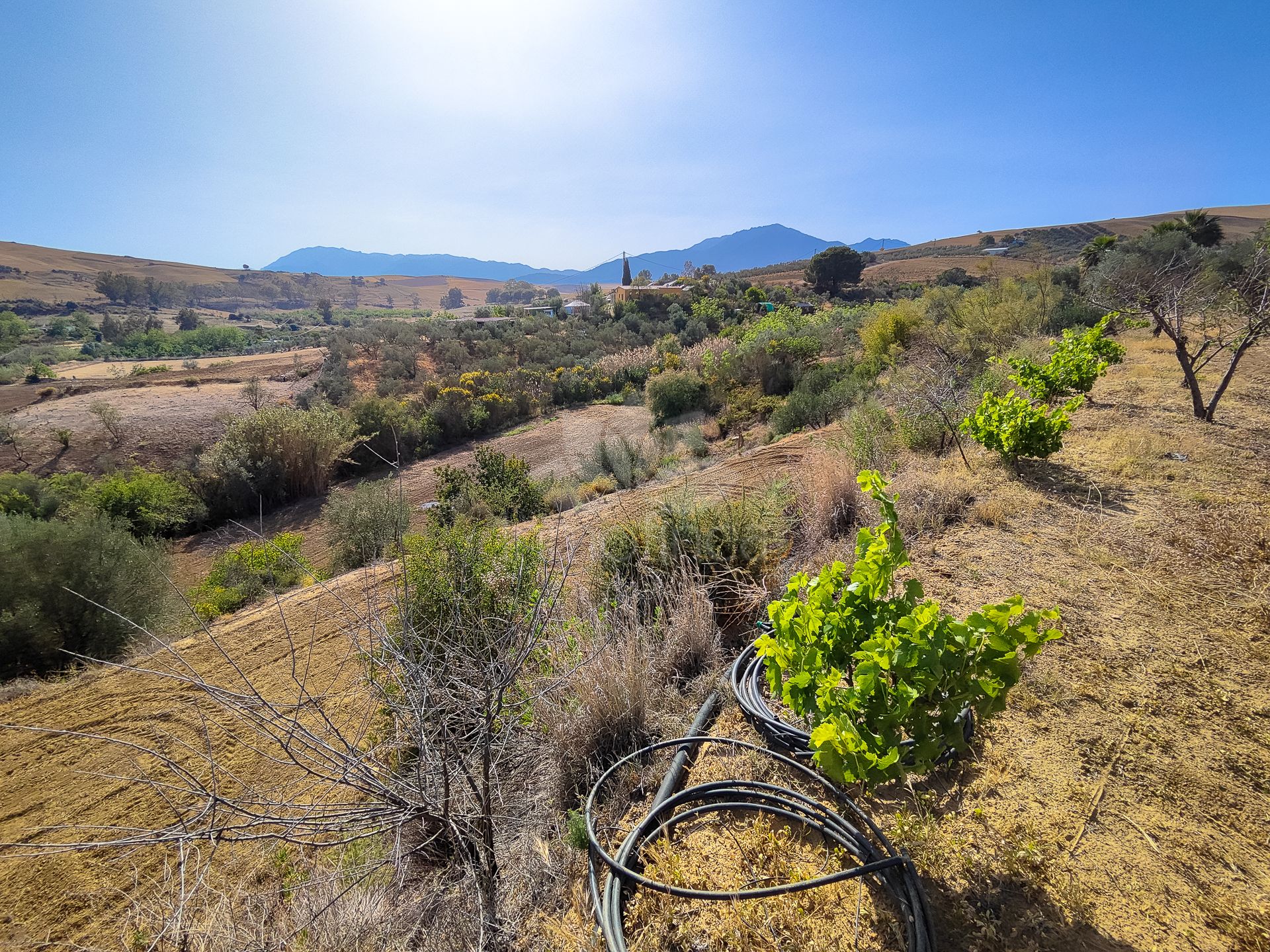 Parcela en Coin Centro, Coin