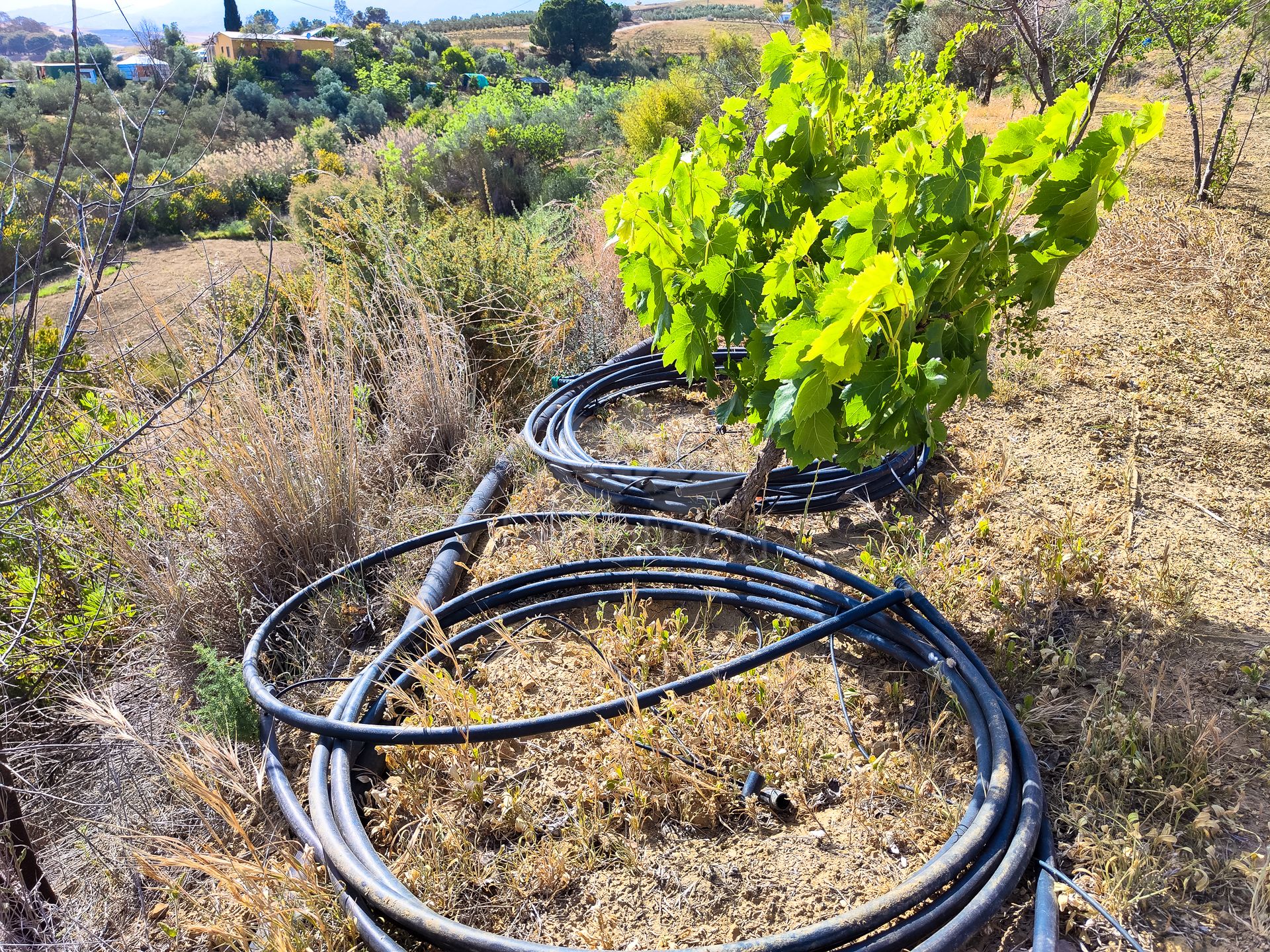 Parcela en Coin Centro, Coin