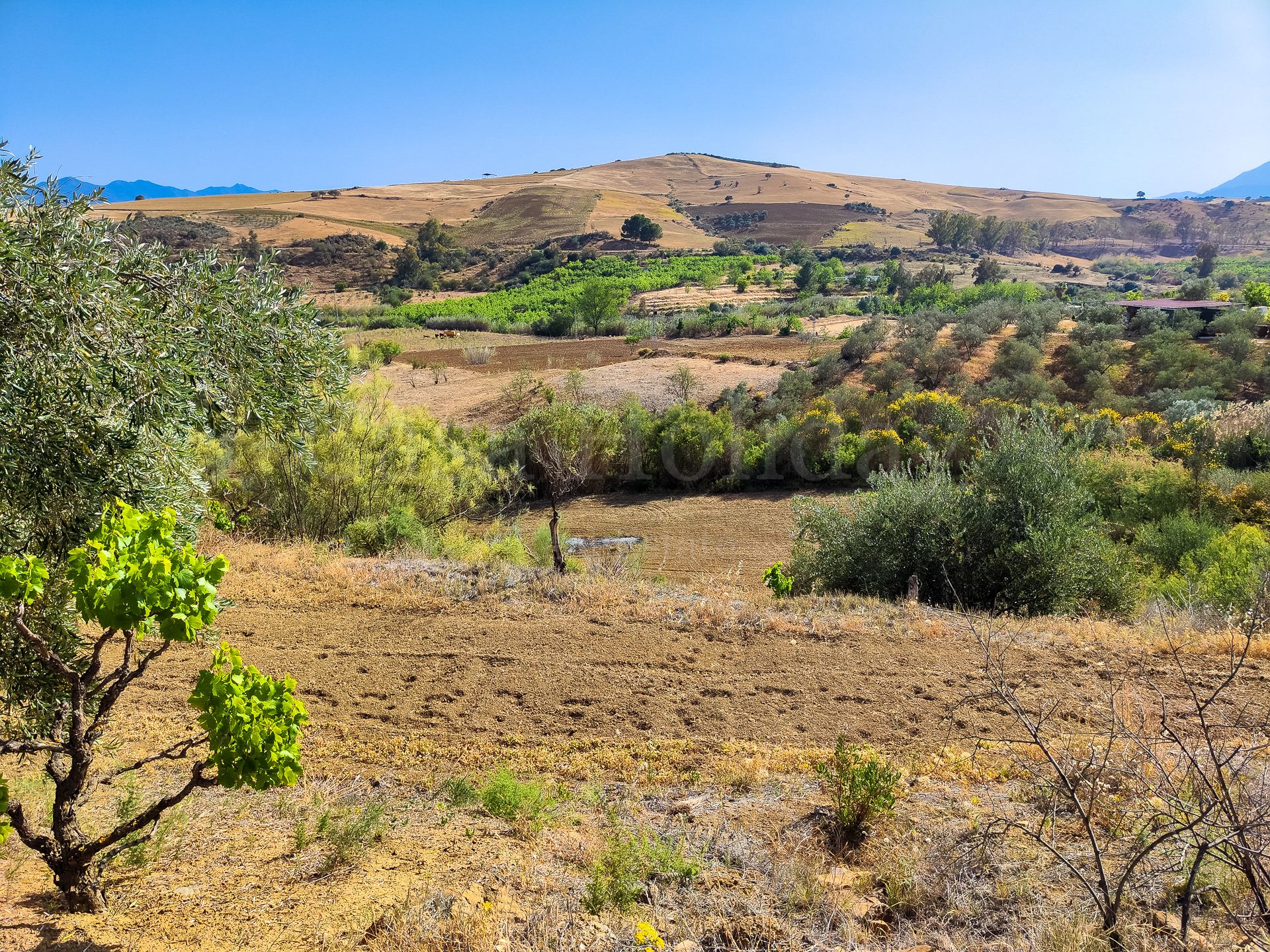 Parcela en Coin Centro, Coin