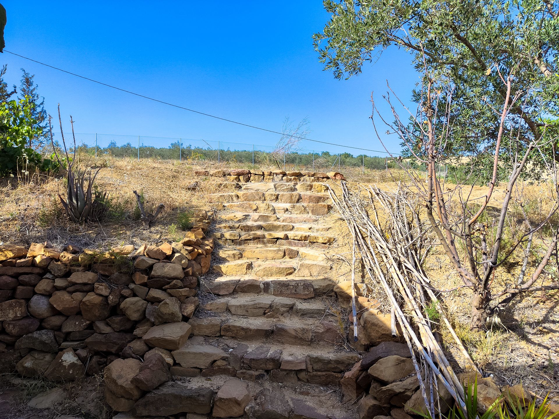 Plot in Coin Centro, Coin
