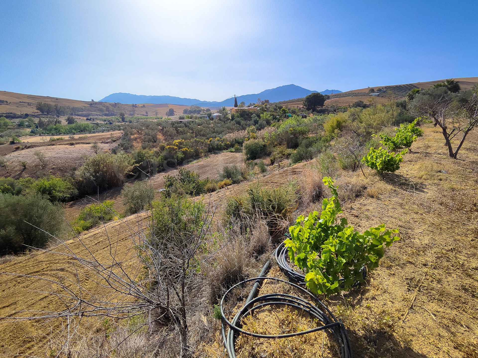 Parcela en Coin Centro, Coin